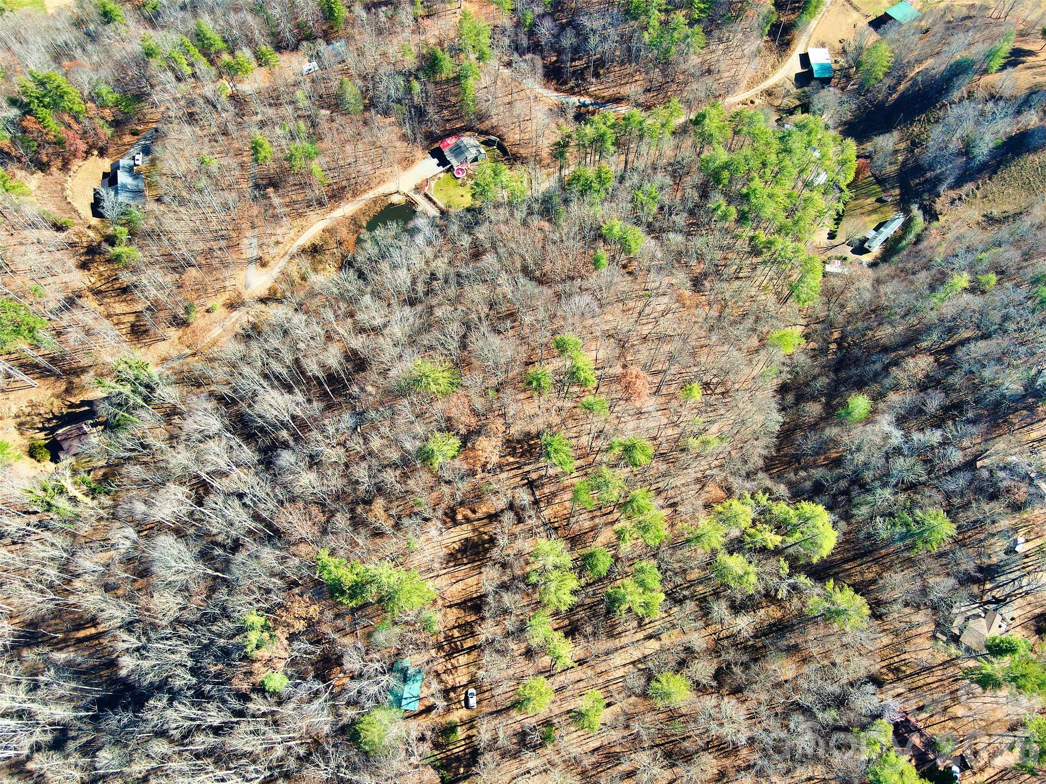 Tbd Rockinghorse Trail Burnsville, NC 28714 - Photo 10 of 13