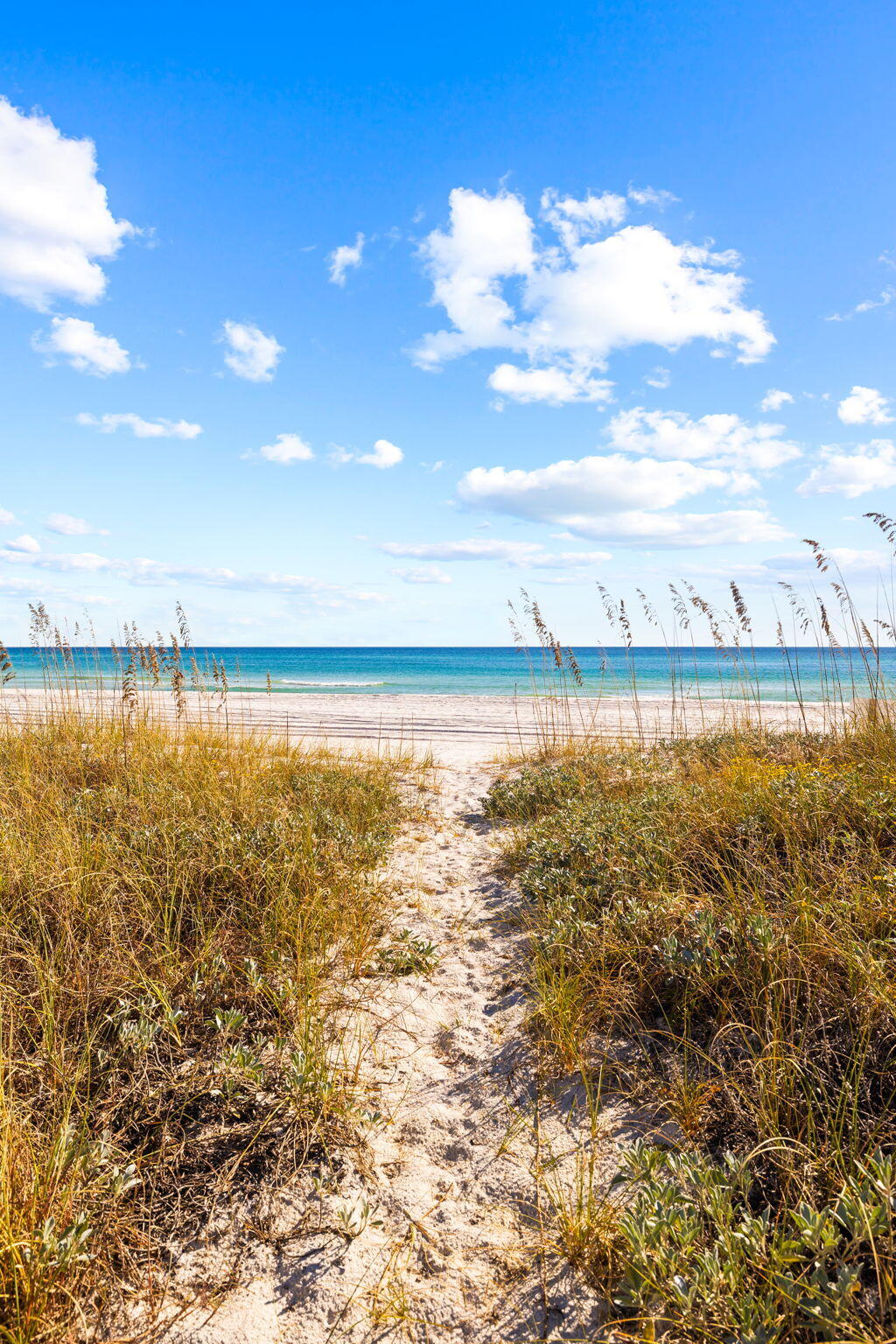 376 Beachfront Trail Santa Rosa Beach, FL 32459 - Photo 55 of 62 376 Beachfront Trail