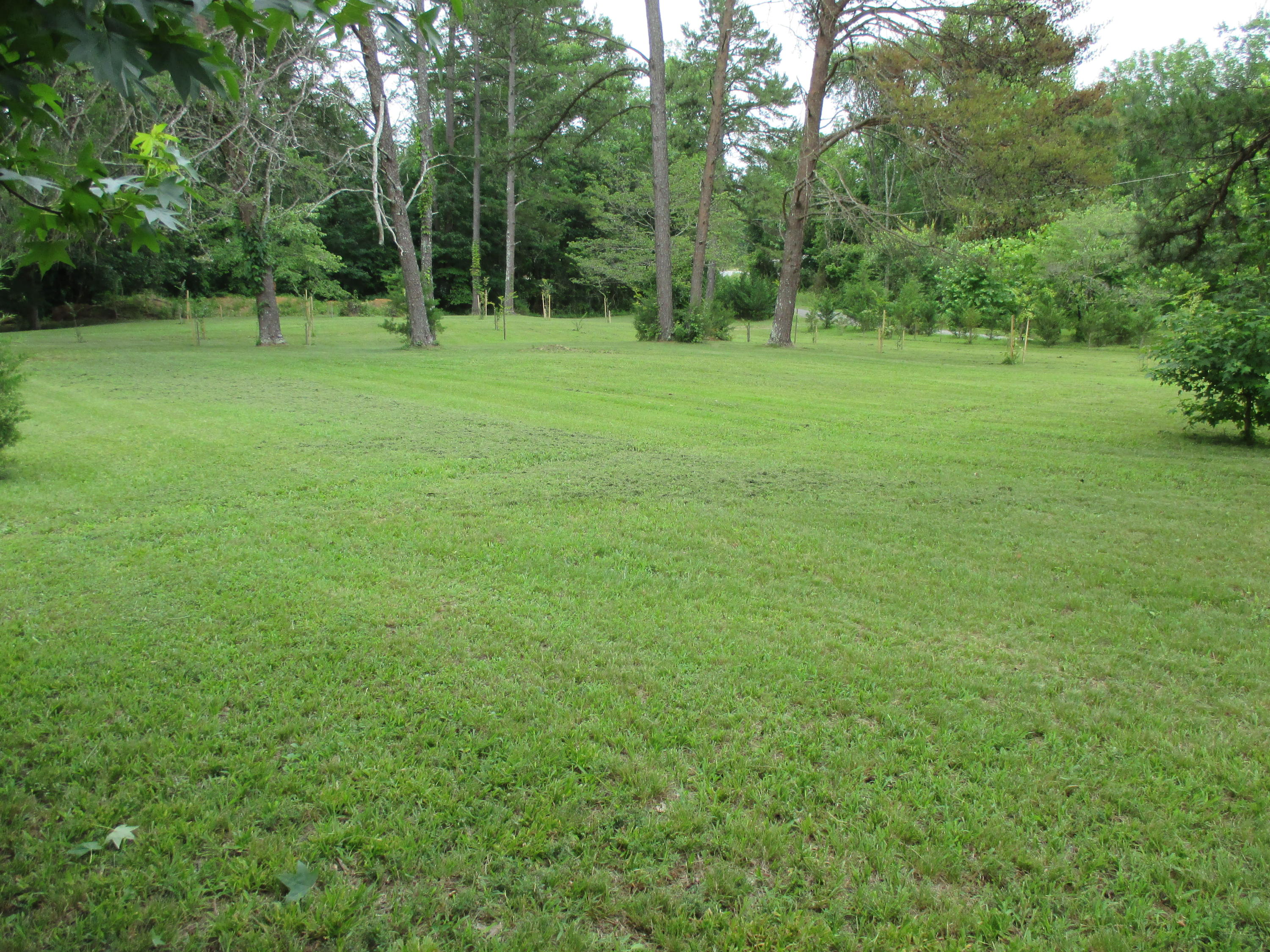 104-110 Cunningham Drive Decatur, TN 37322 - Photo 1 of 37 IMG_0043