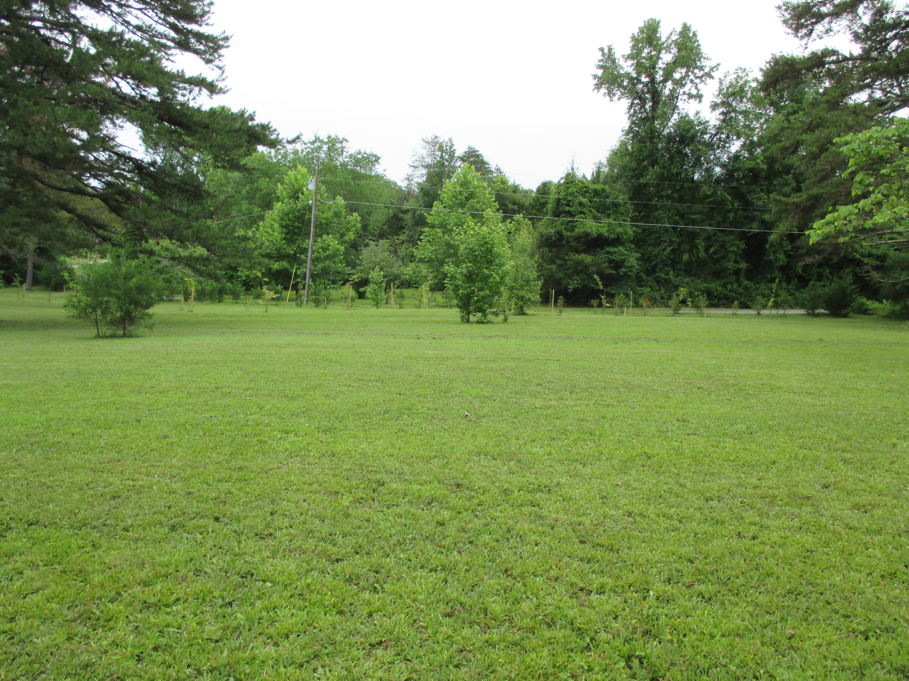 104-110 Cunningham Drive Decatur, TN 37322 - Photo 2 of 37 IMG_0039