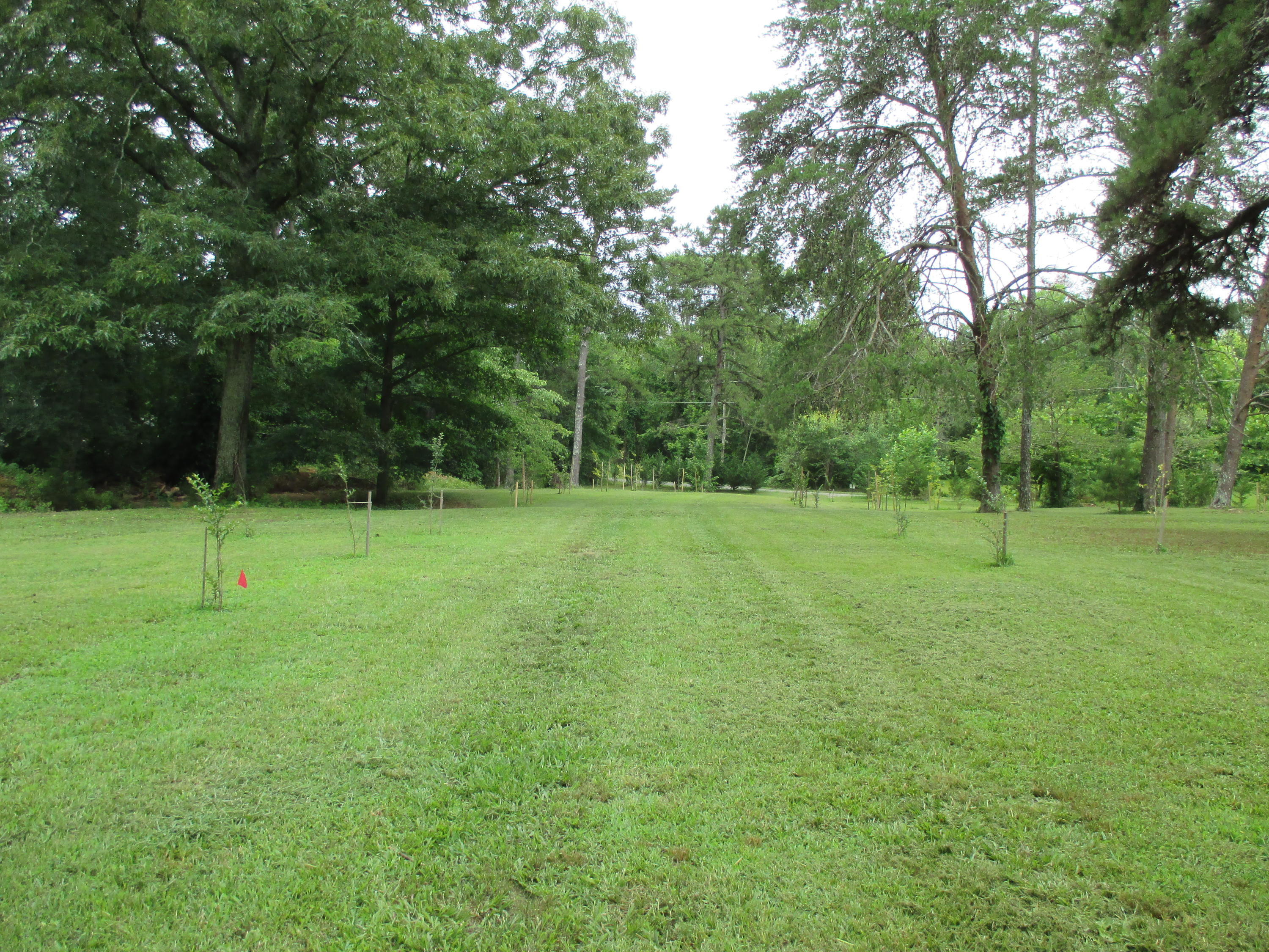 104-110 Cunningham Drive Decatur, TN 37322 - Photo 19 of 37 IMG_0053