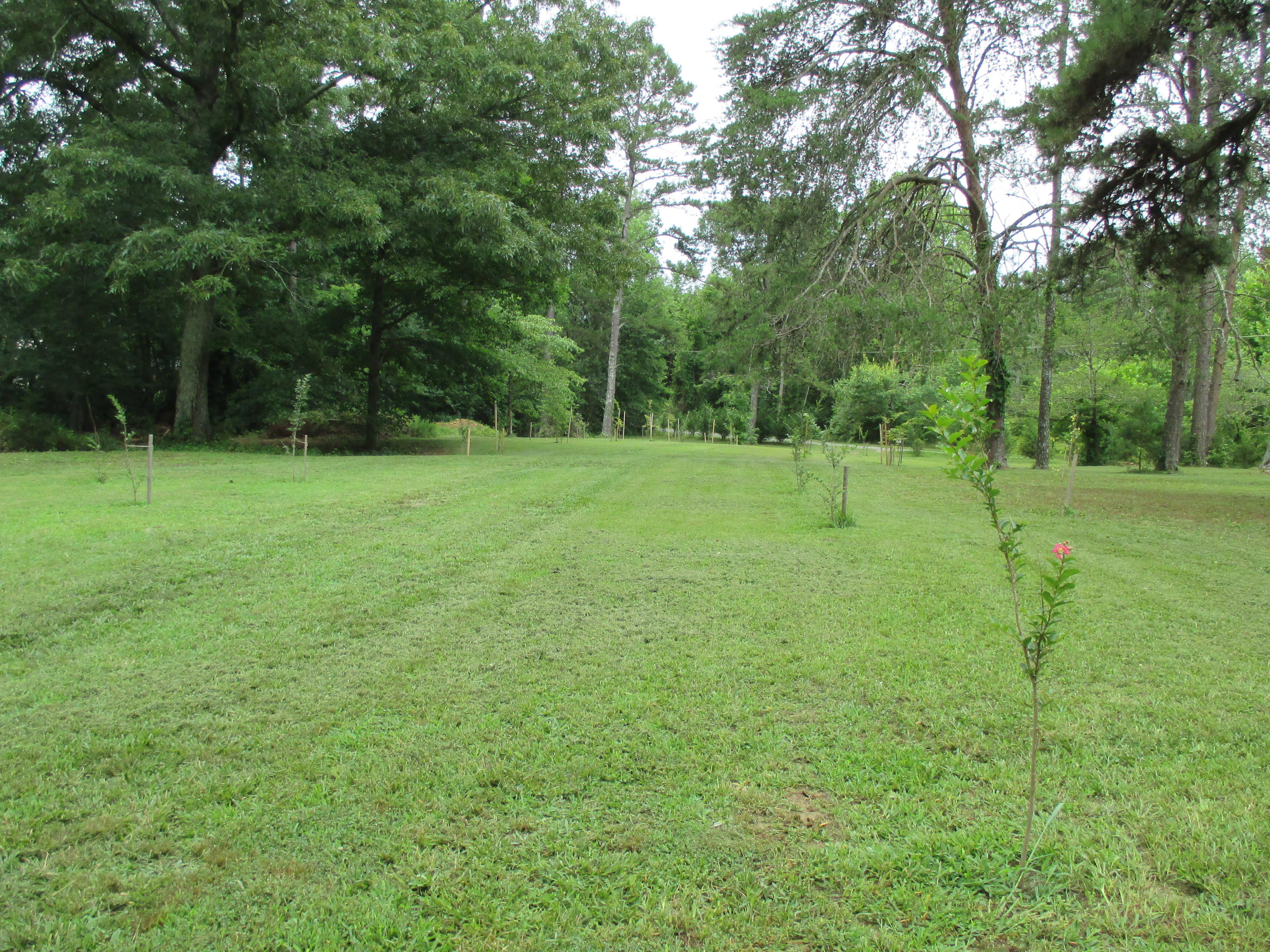 104-110 Cunningham Drive Decatur, TN 37322 - Photo 20 of 37 IMG_0052