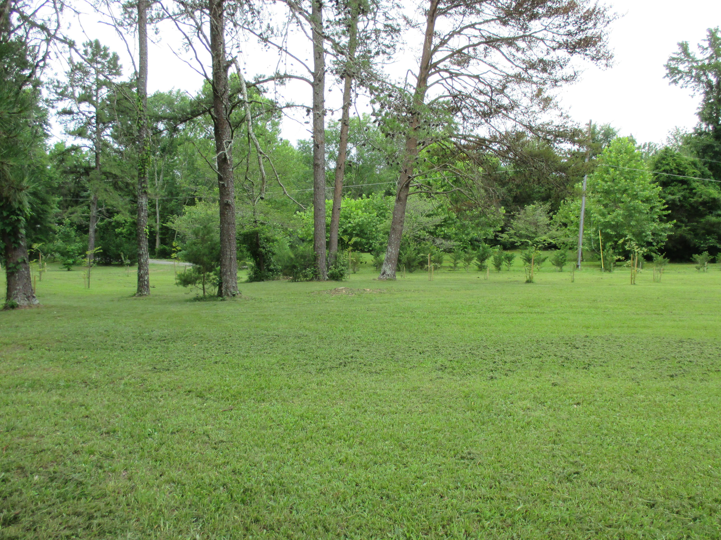 104-110 Cunningham Drive Decatur, TN 37322 - Photo 3 of 37 IMG_0047