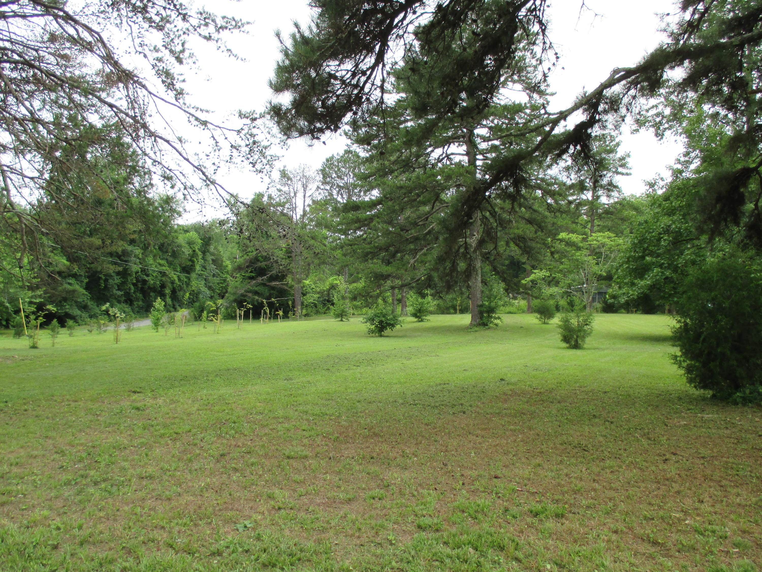 104-110 Cunningham Drive Decatur, TN 37322 - Photo 21 of 37 IMG_0050
