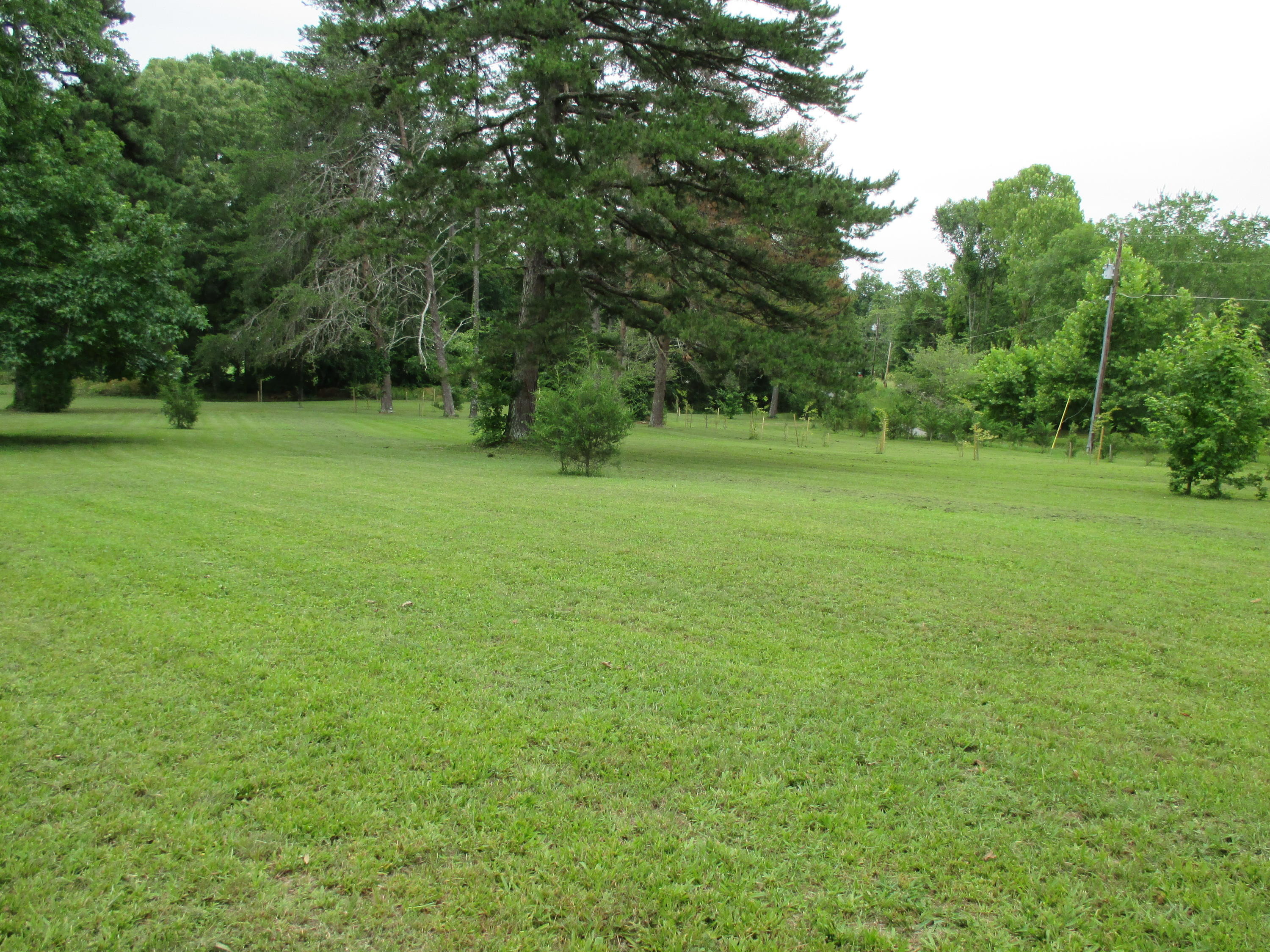 104-110 Cunningham Drive Decatur, TN 37322 - Photo 22 of 37 IMG_0042