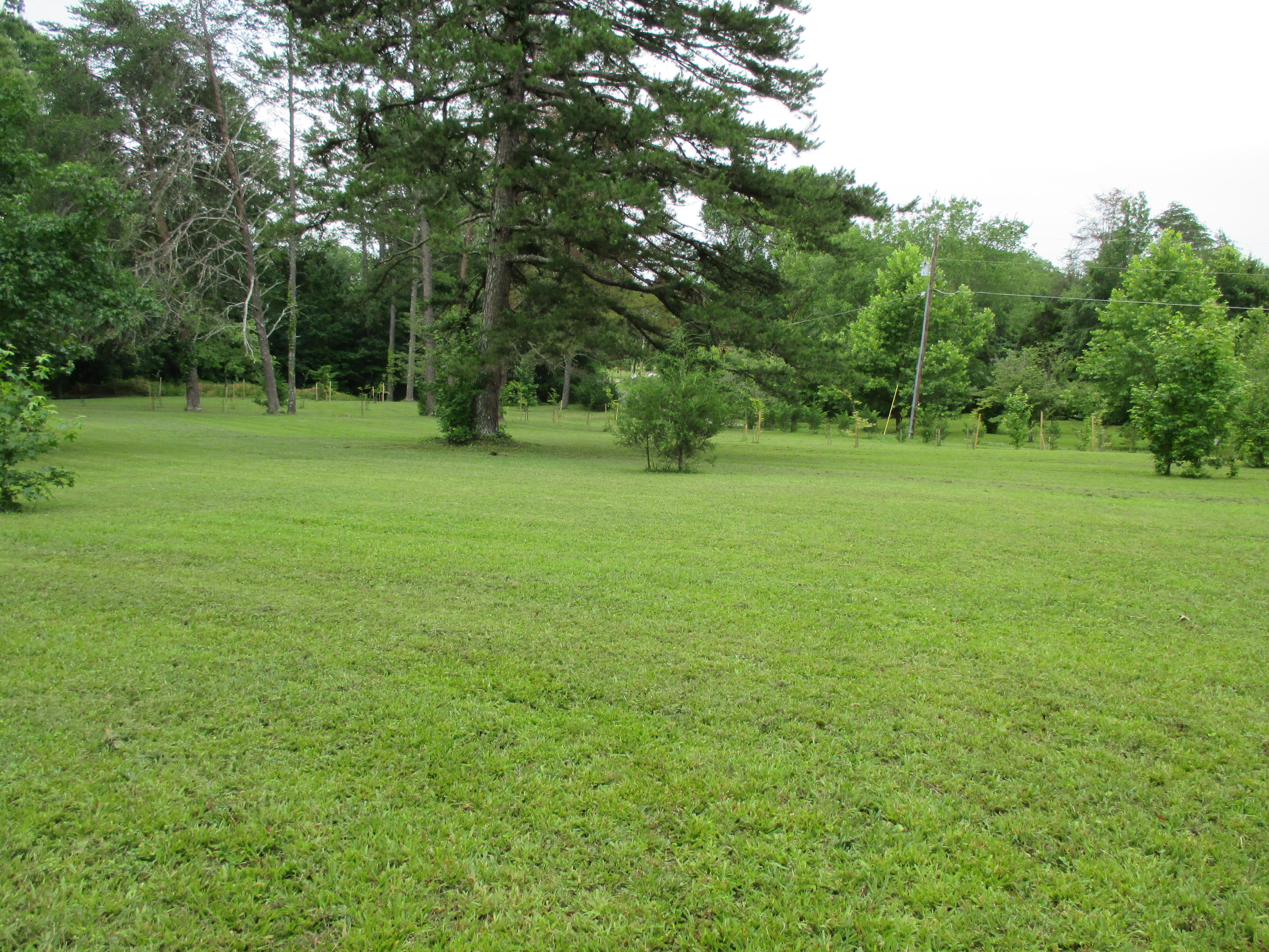 104-110 Cunningham Drive Decatur, TN 37322 - Photo 24 of 37 IMG_0038