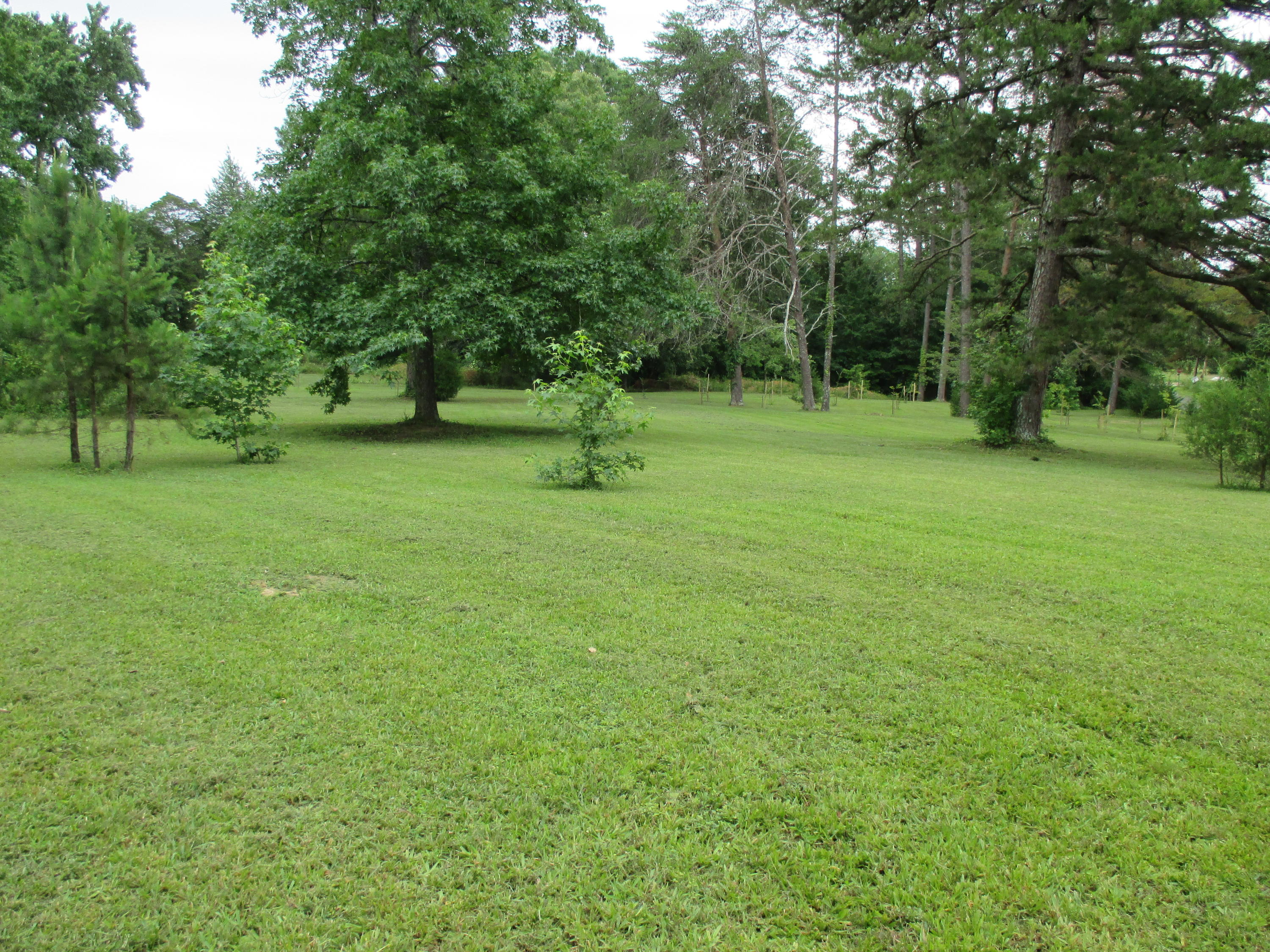 104-110 Cunningham Drive Decatur, TN 37322 - Photo 25 of 37 IMG_0037