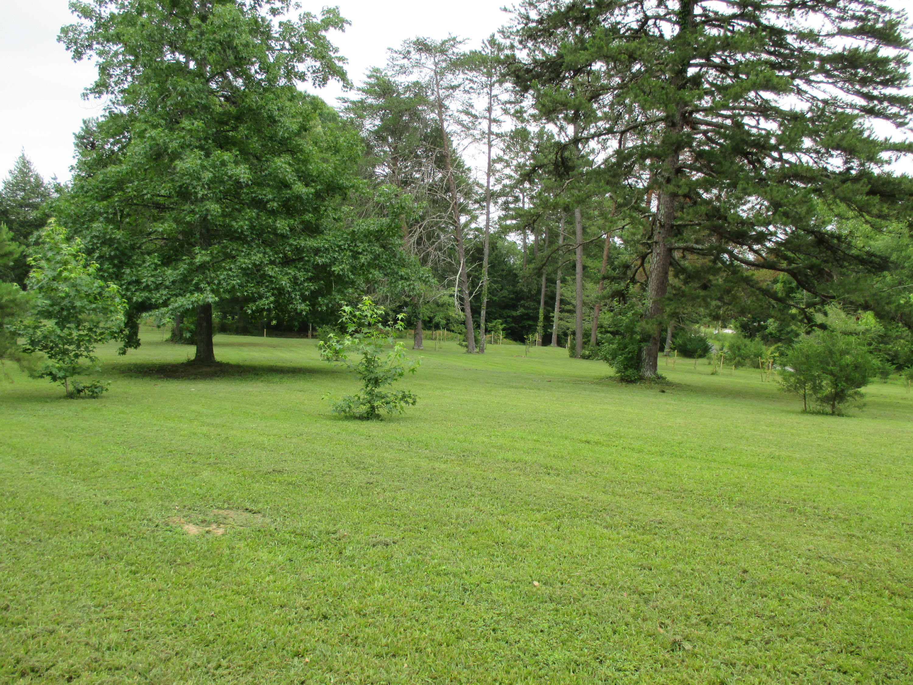 104-110 Cunningham Drive Decatur, TN 37322 - Photo 26 of 37 IMG_0035