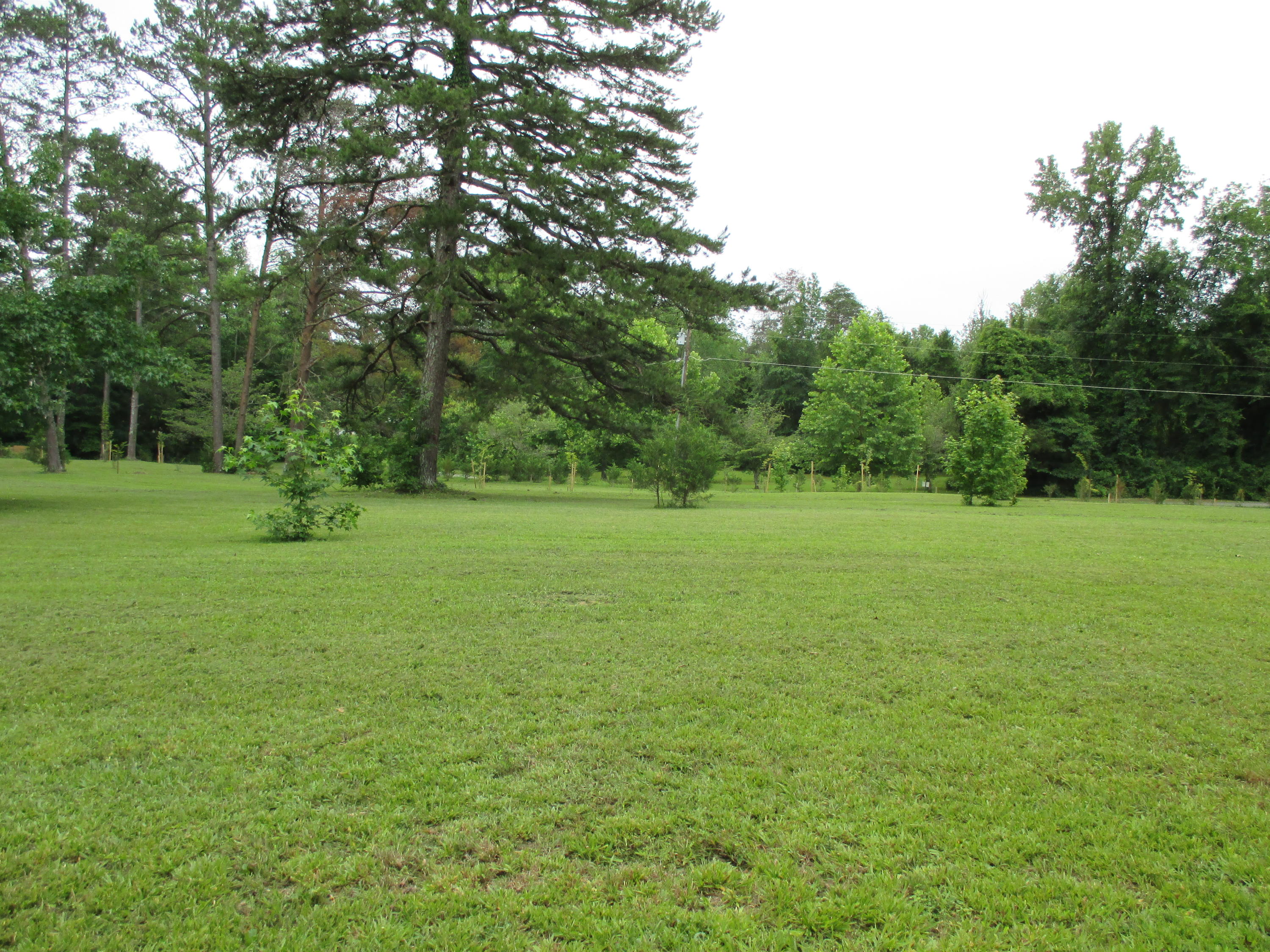 104-110 Cunningham Drive Decatur, TN 37322 - Photo 27 of 37 IMG_0033
