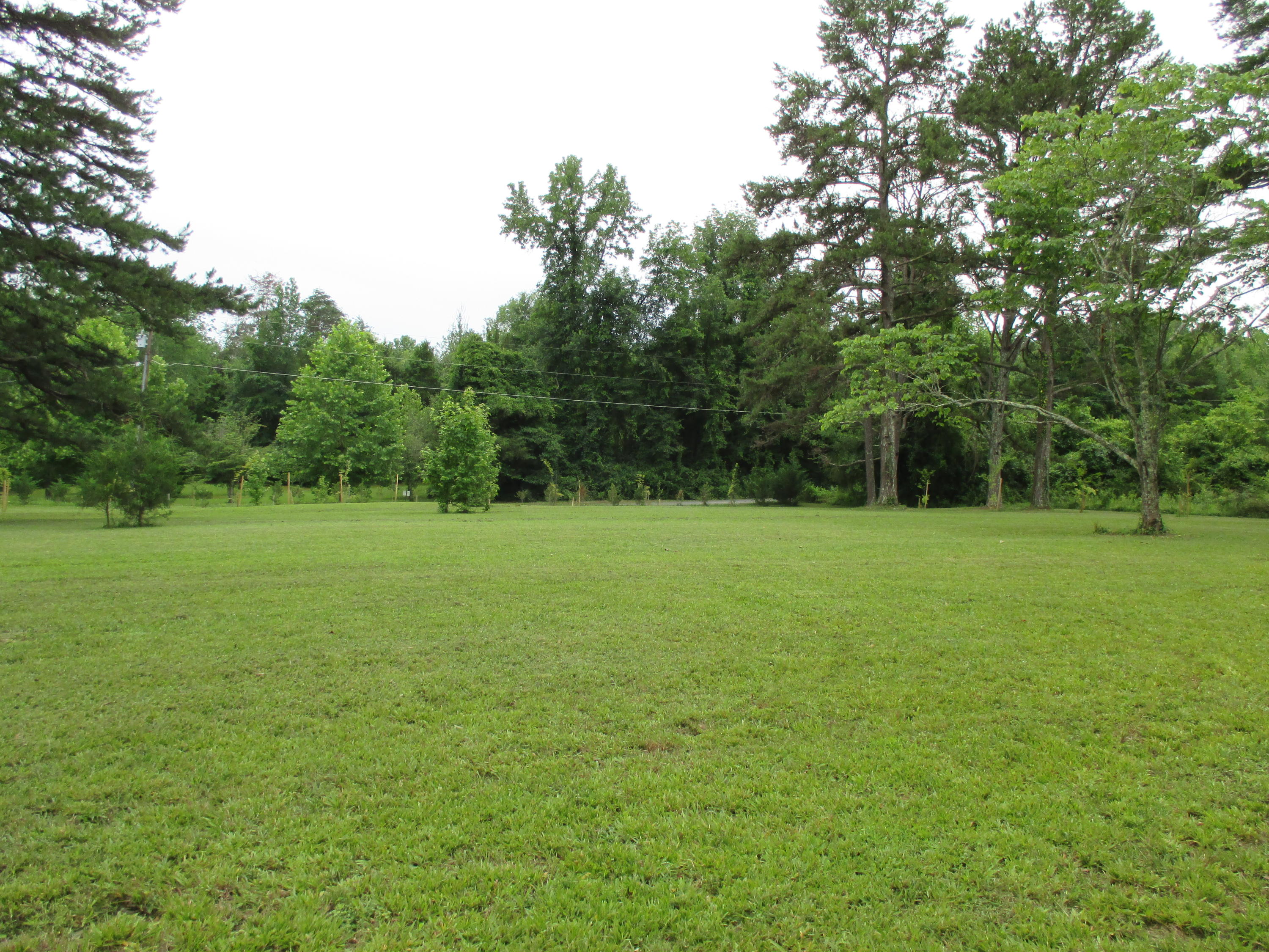 104-110 Cunningham Drive Decatur, TN 37322 - Photo 28 of 37 IMG_0032
