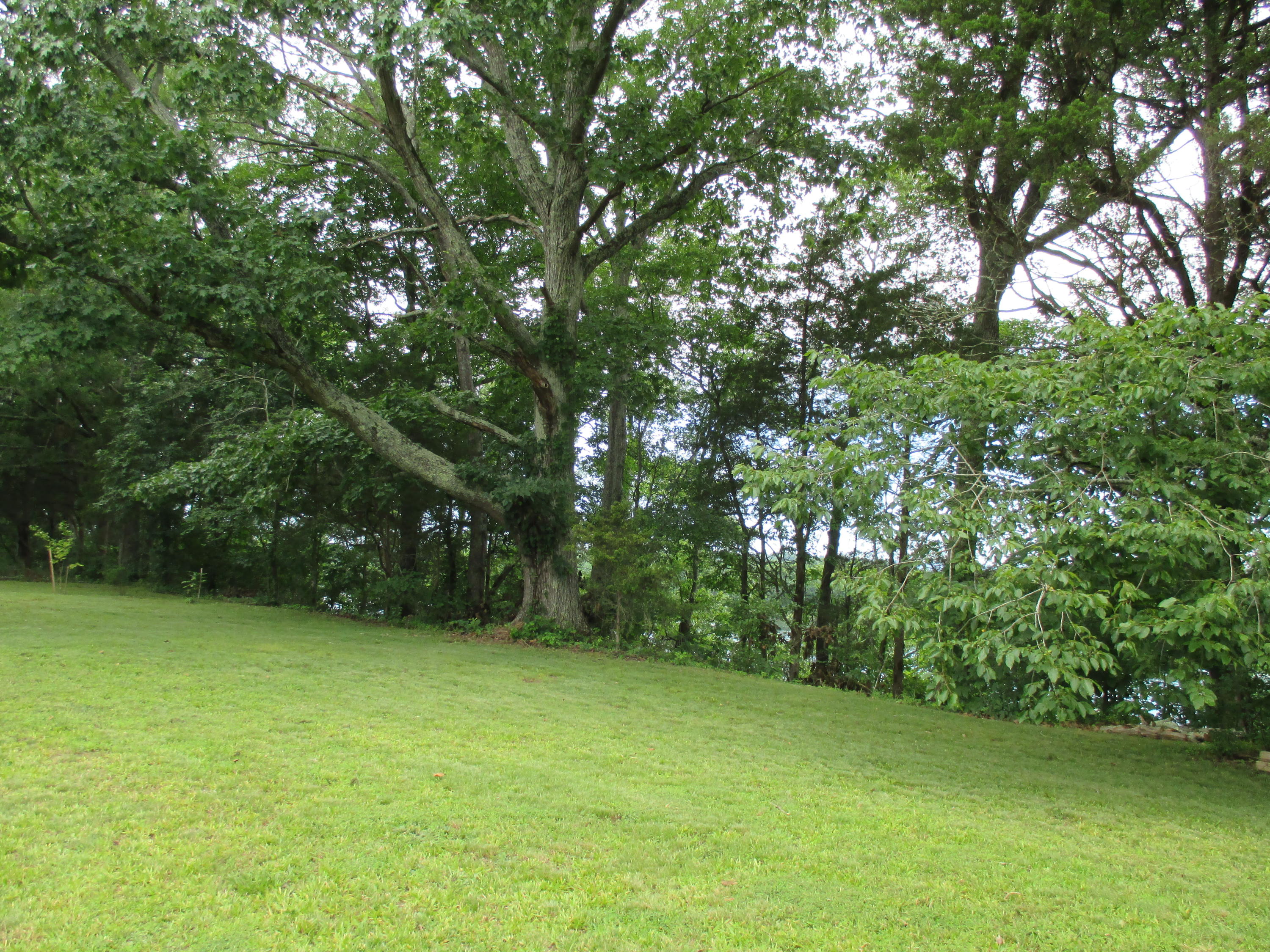 104-110 Cunningham Drive Decatur, TN 37322 - Photo 29 of 37 IMG_0031