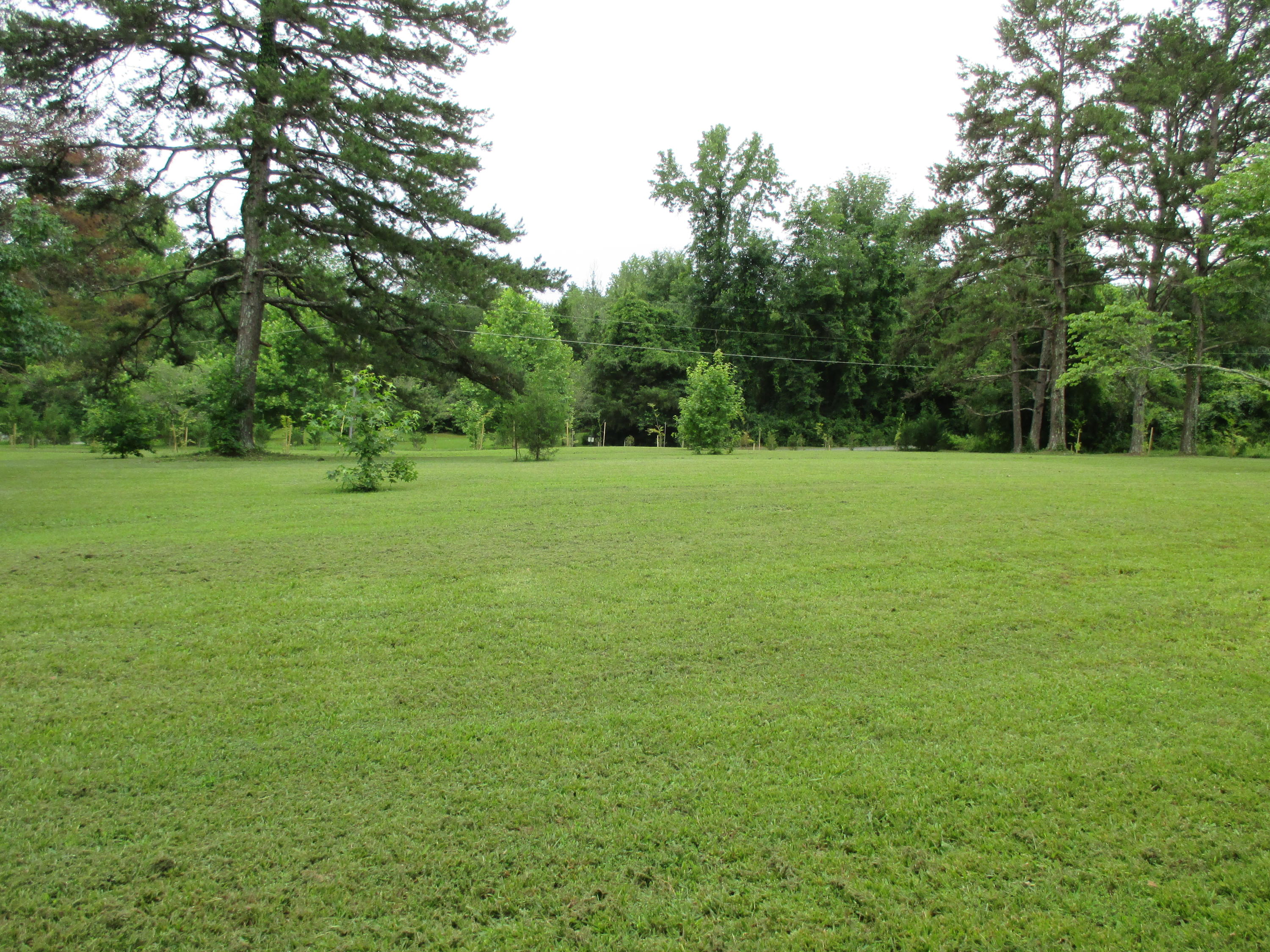 104-110 Cunningham Drive Decatur, TN 37322 - Photo 31 of 37 IMG_0027