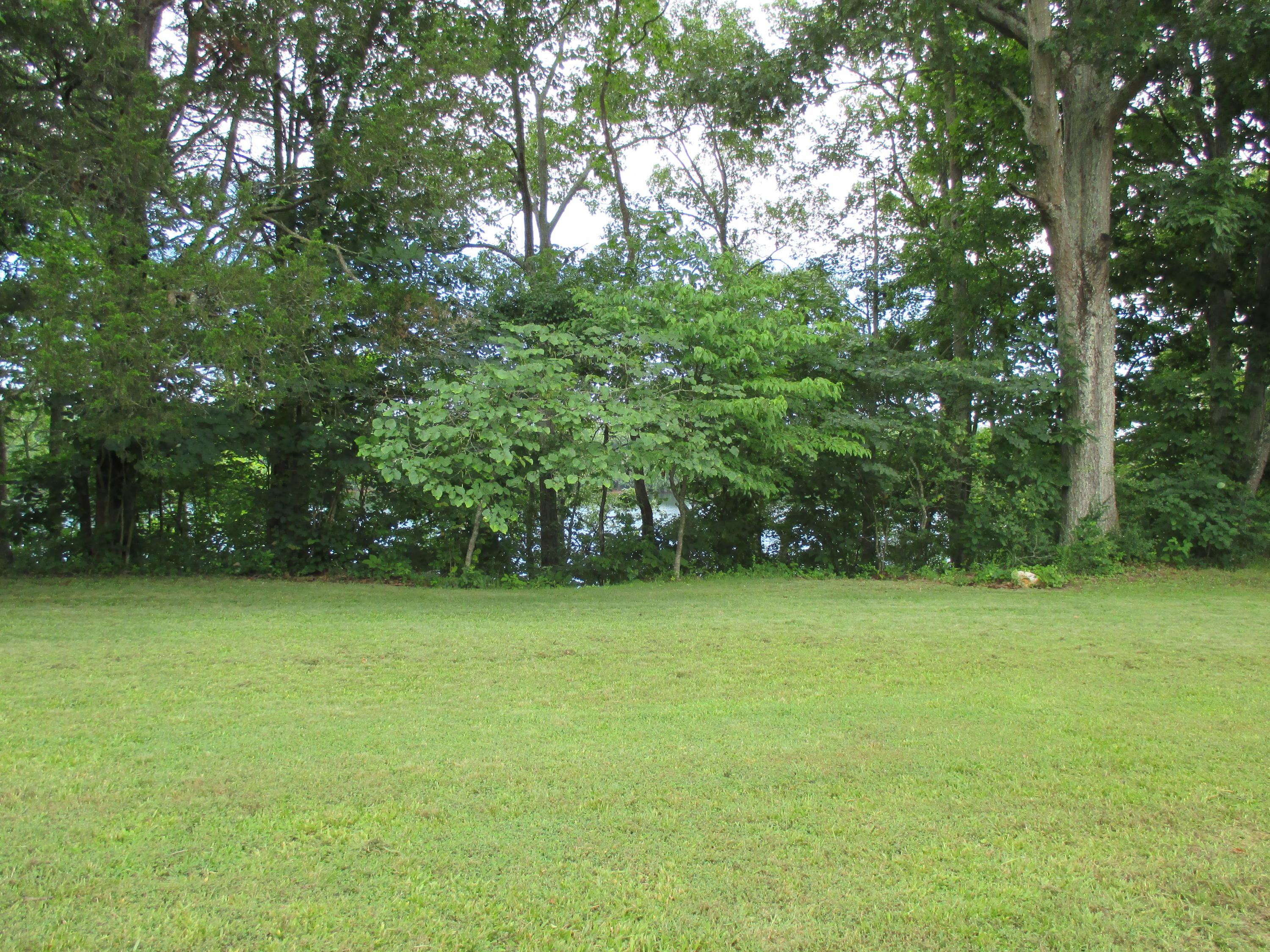 104-110 Cunningham Drive Decatur, TN 37322 - Photo 32 of 37 IMG_0026