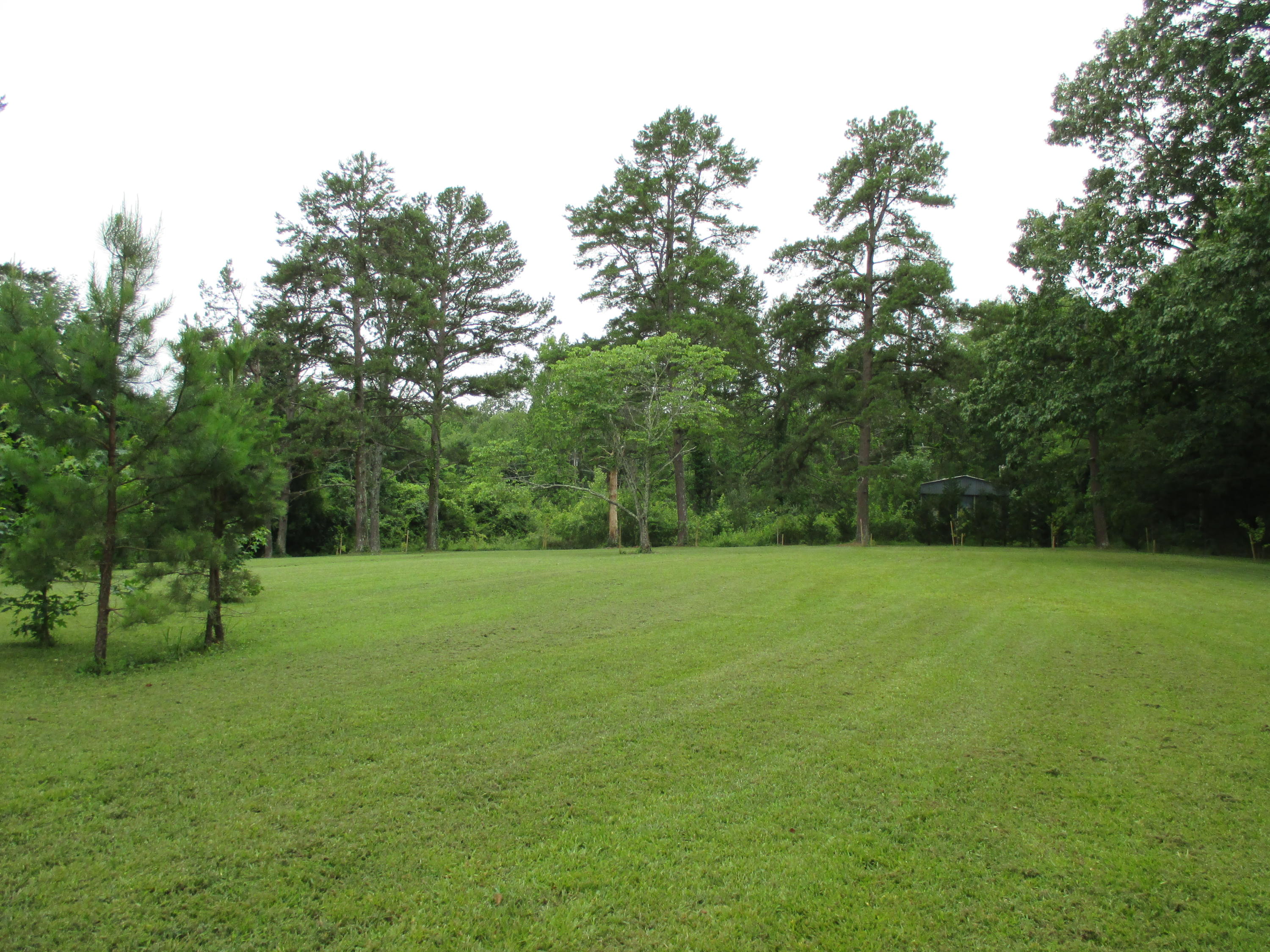 104-110 Cunningham Drive Decatur, TN 37322 - Photo 34 of 37 IMG_0022