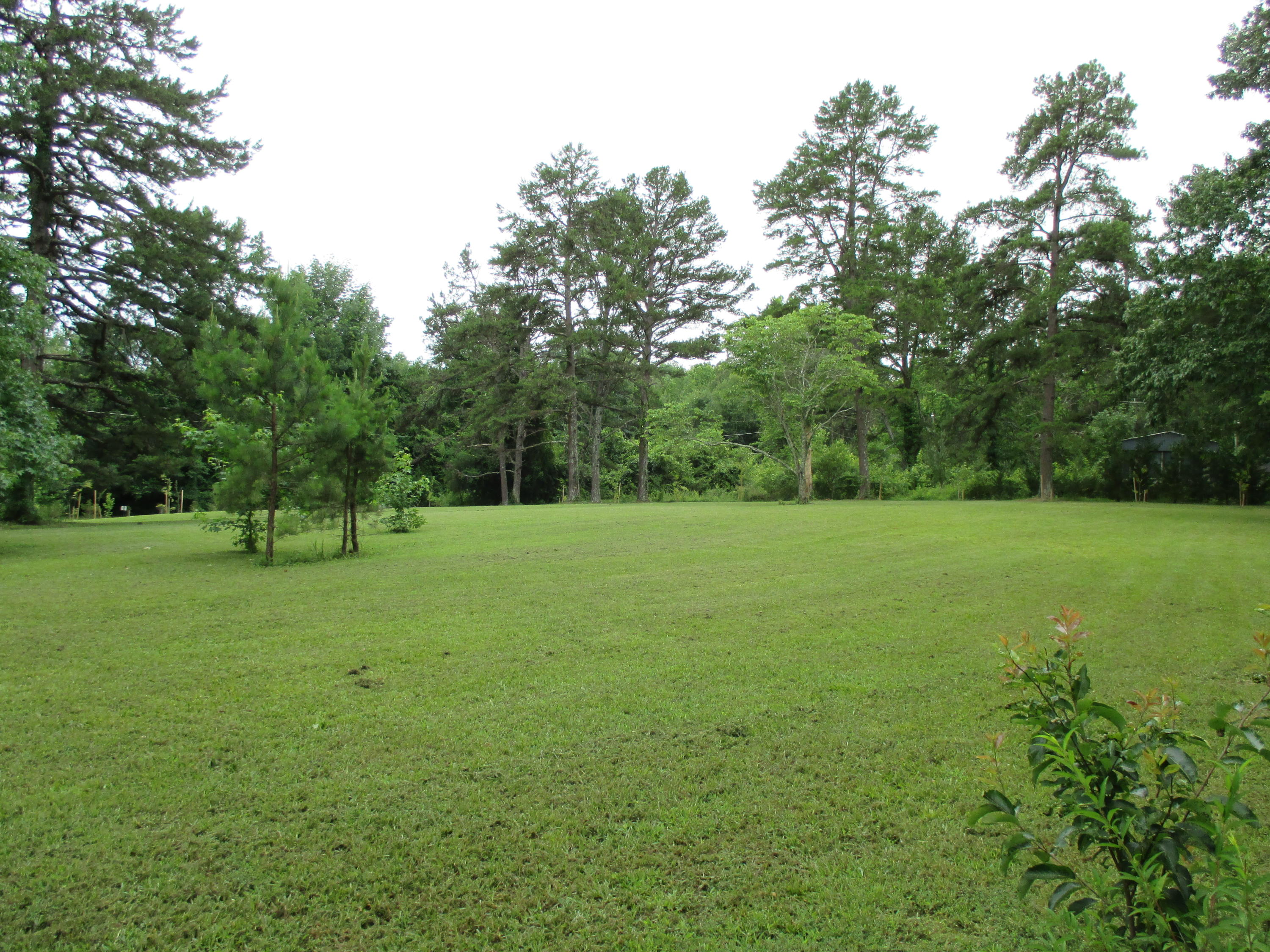 104-110 Cunningham Drive Decatur, TN 37322 - Photo 35 of 37 IMG_0020