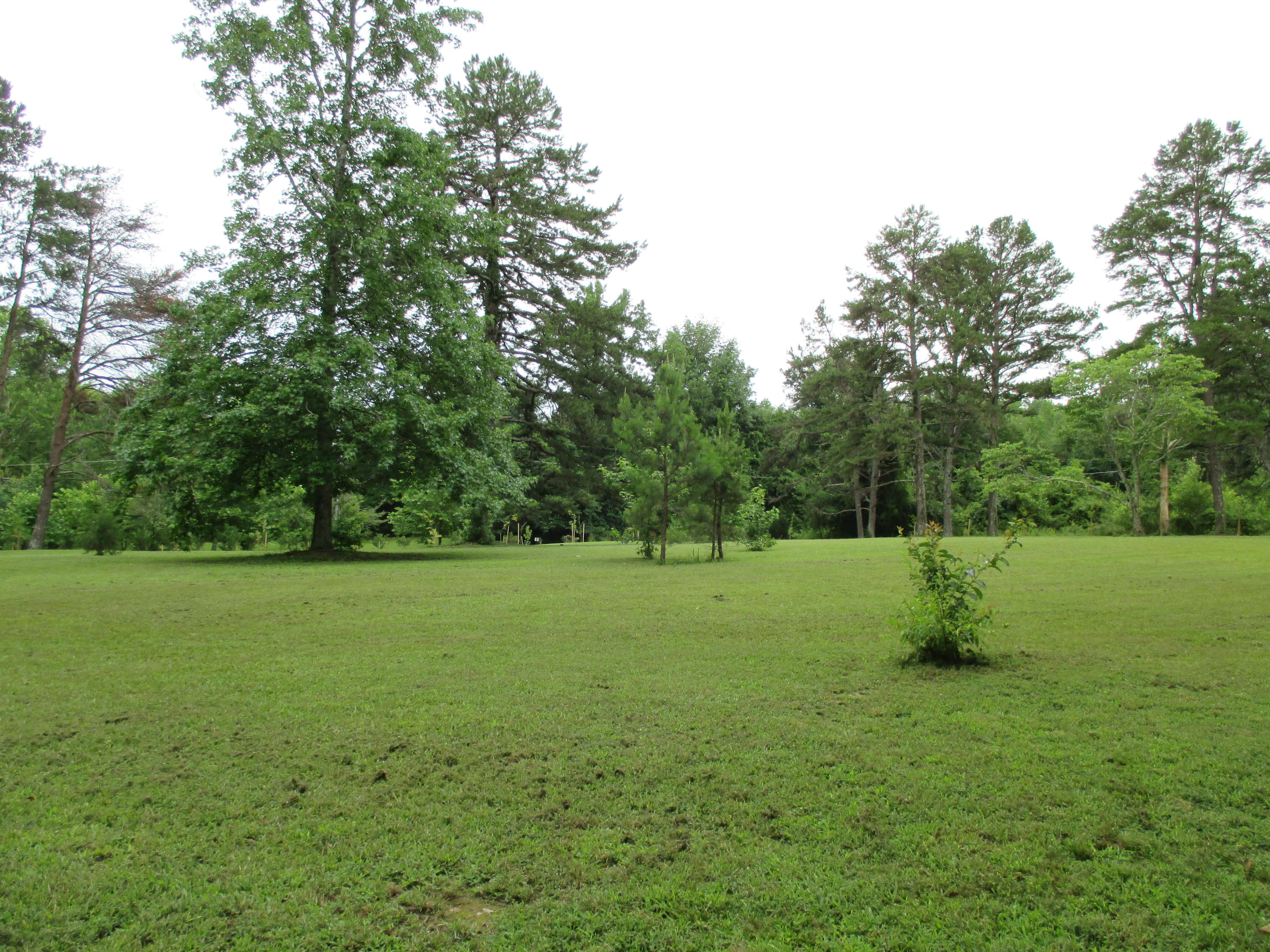 104-110 Cunningham Drive Decatur, TN 37322 - Photo 36 of 37 IMG_0019