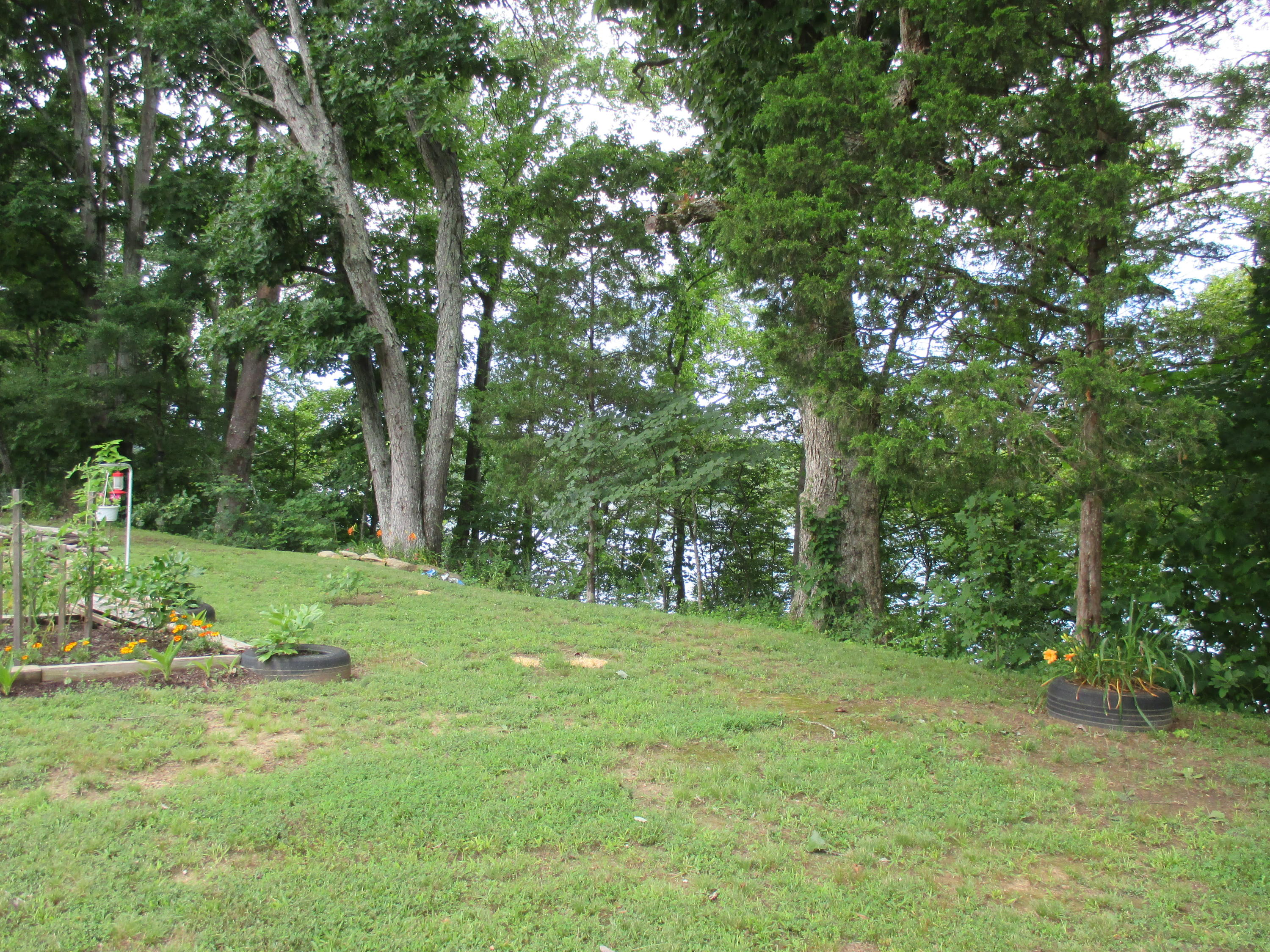 104-110 Cunningham Drive Decatur, TN 37322 - Photo 37 of 37 IMG_0014