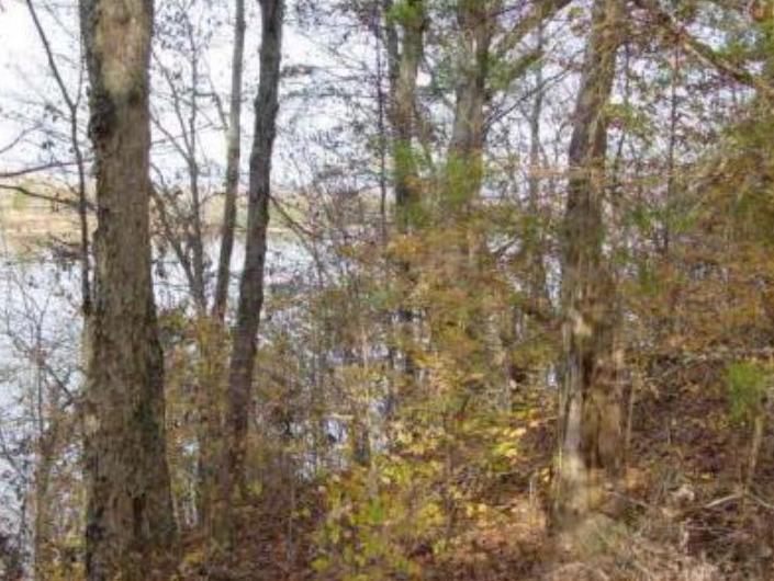 104-110 Cunningham Drive Decatur, TN 37322 - Photo 8 of 37 Cunningha1285252750.jpg