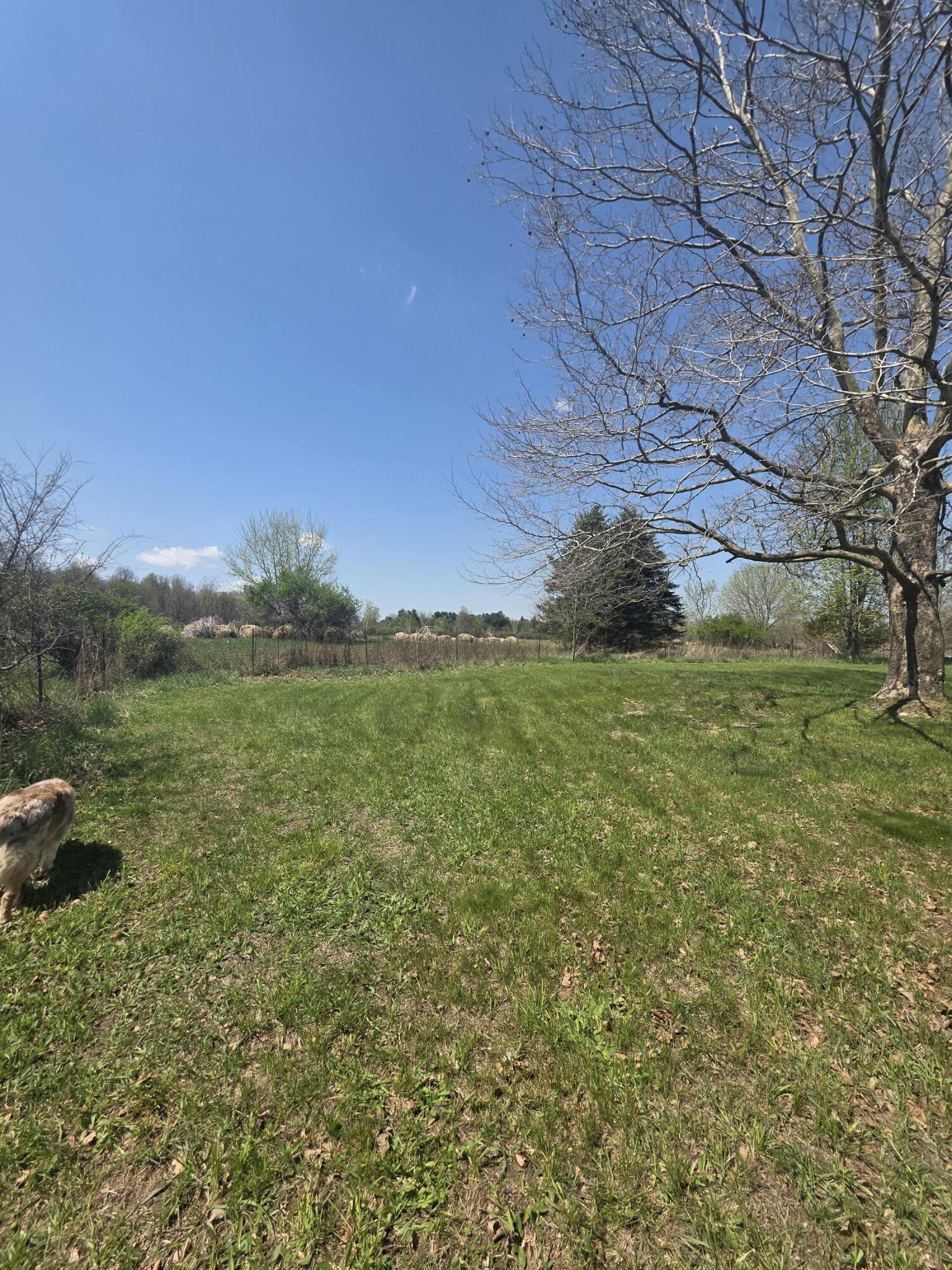 1627 West Barnes Road Leslie, MI 49251 - Photo 39 of 56 20260422_134308