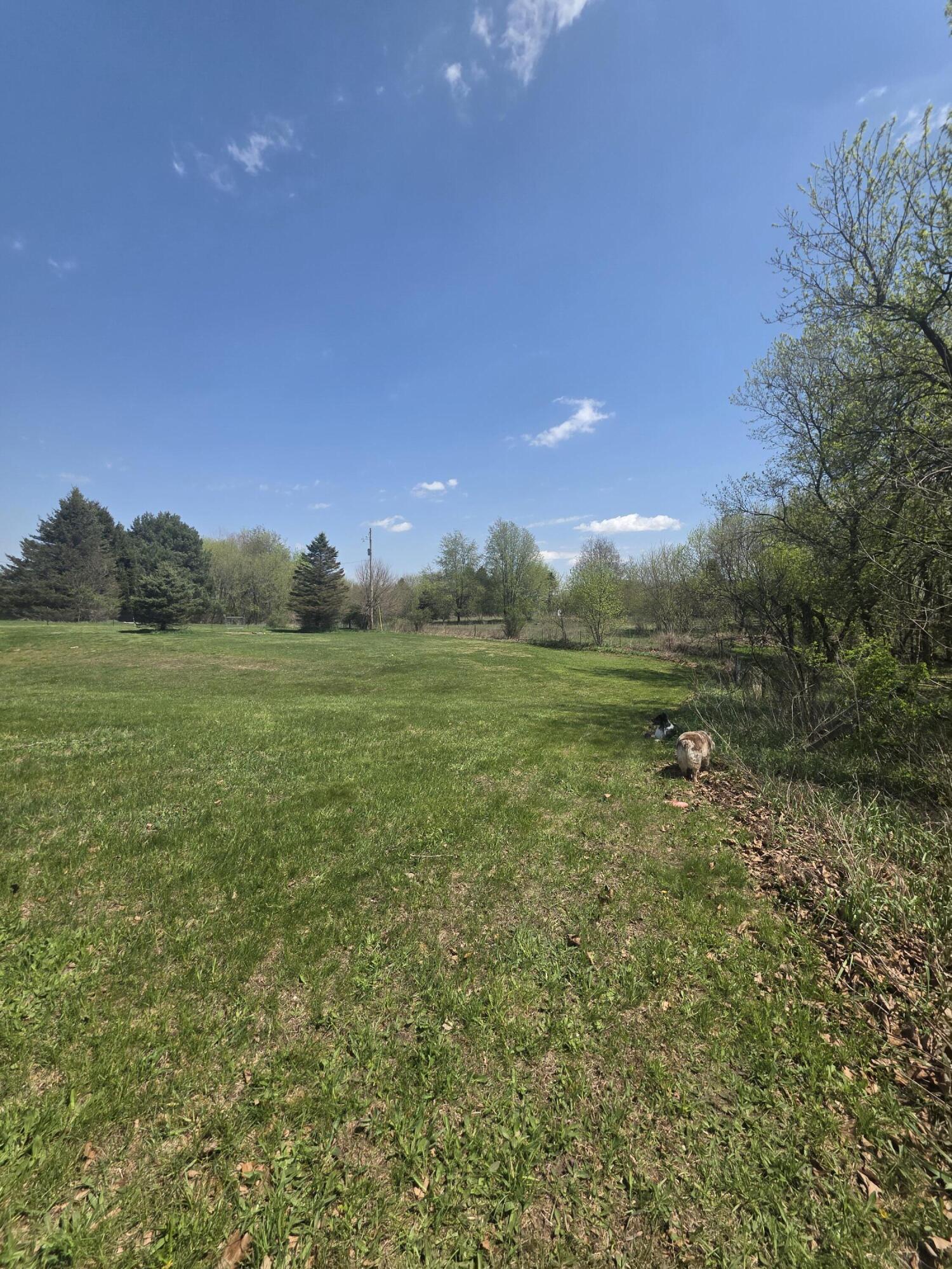 1627 West Barnes Road Leslie, MI 49251 - Photo 40 of 56 20260422_134315