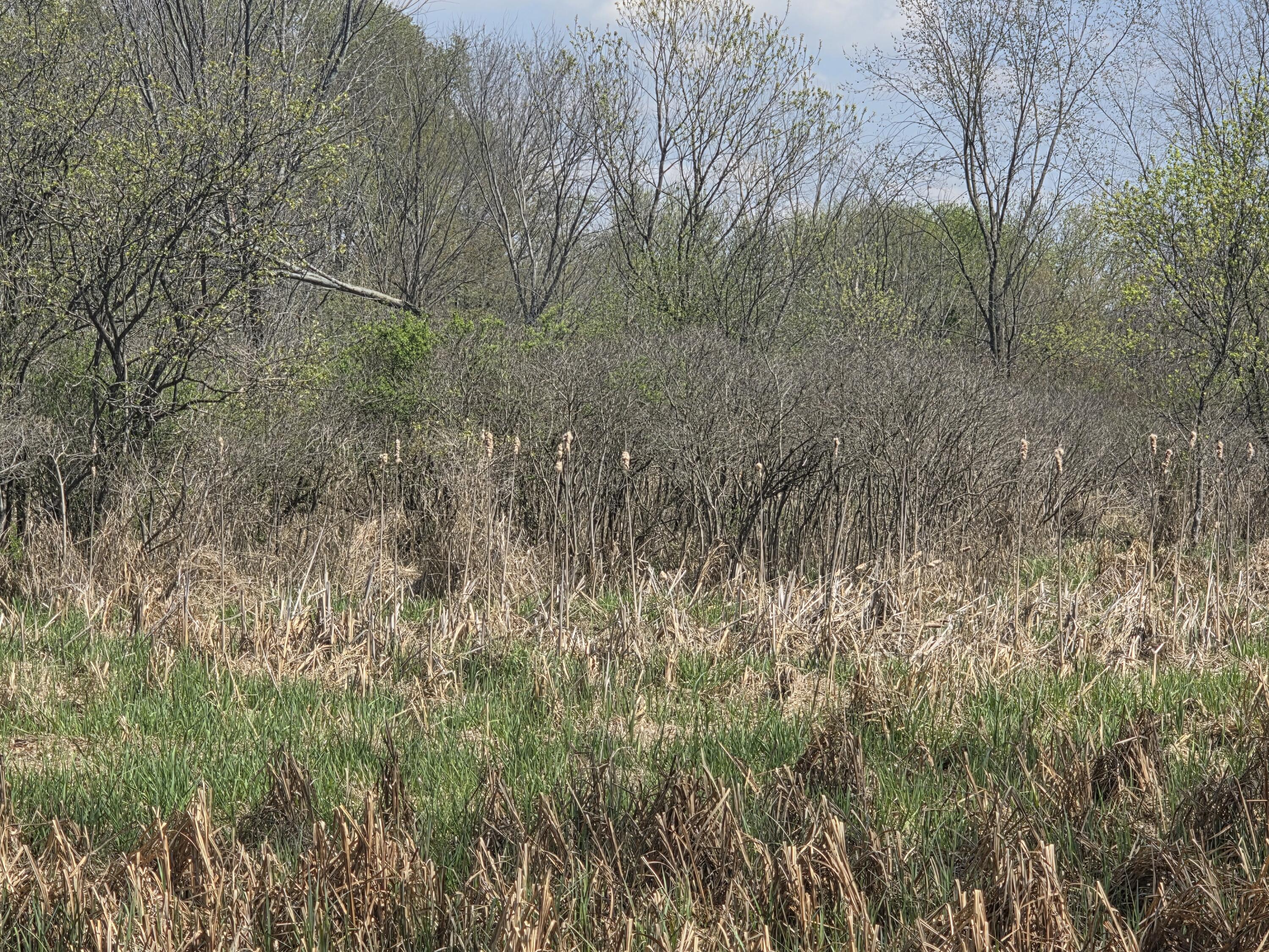 1627 West Barnes Road Leslie, MI 49251 - Photo 41 of 56 20260422_143108