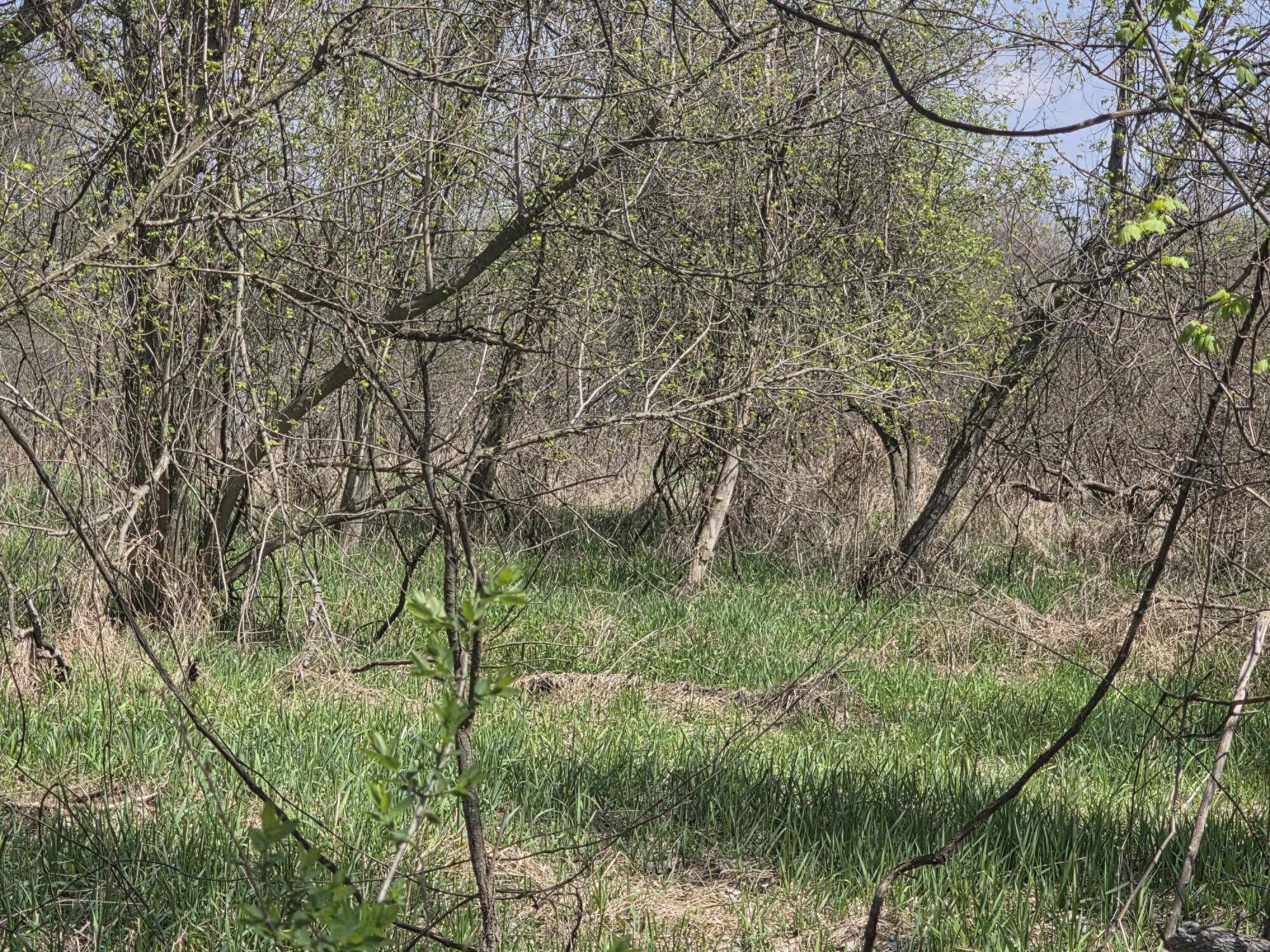 1627 West Barnes Road Leslie, MI 49251 - Photo 42 of 56 20260422_143041