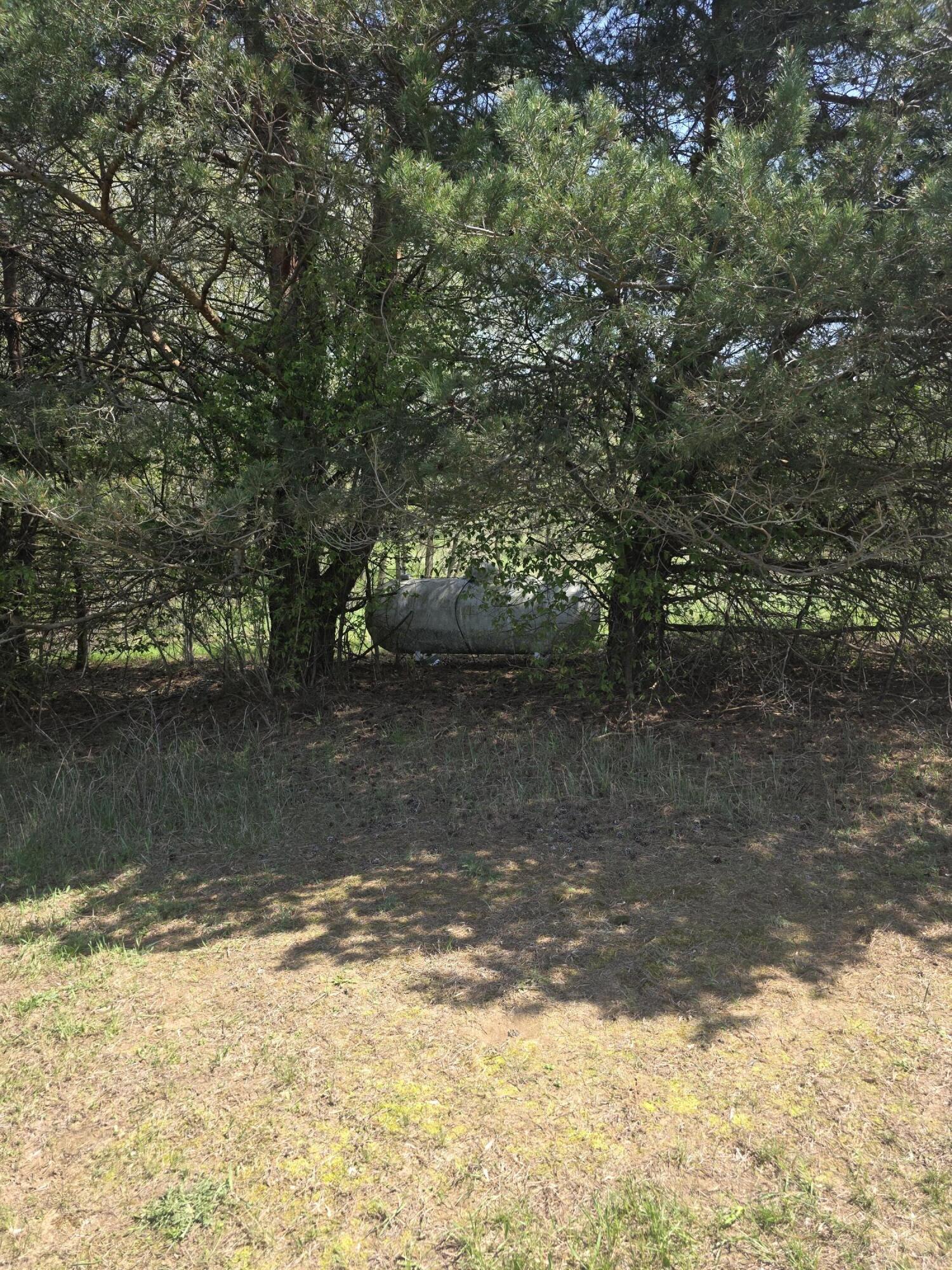 1627 West Barnes Road Leslie, MI 49251 - Photo 46 of 56 20260422_134036