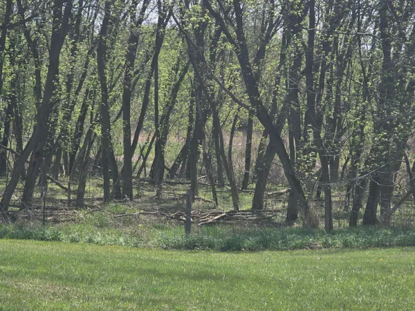 $479,900 | 1627 West Barnes Road, Leslie, MI 49251