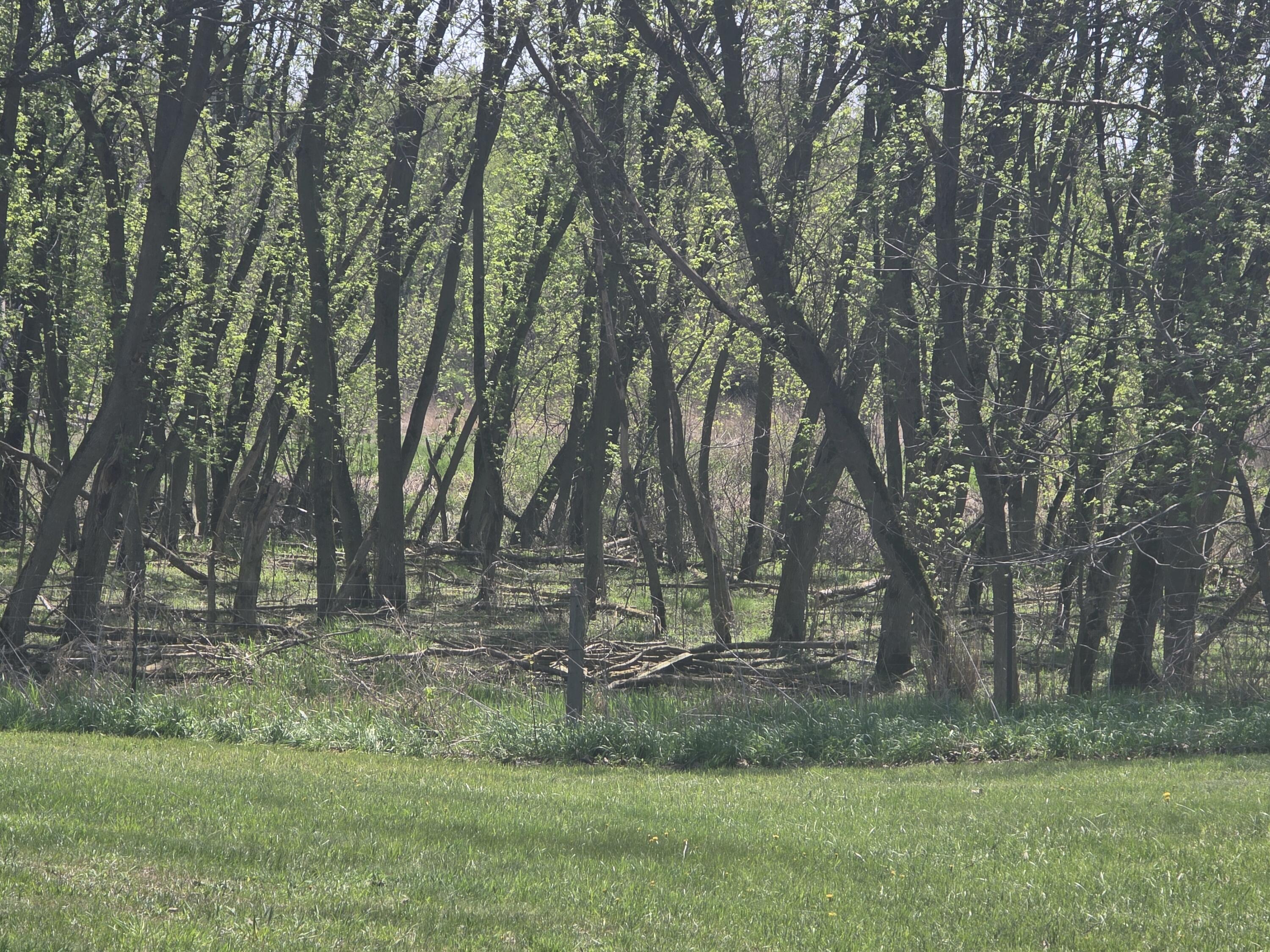 1627 West Barnes Road Leslie, MI 49251 - Photo 54 of 56 20260422_134409 (1)