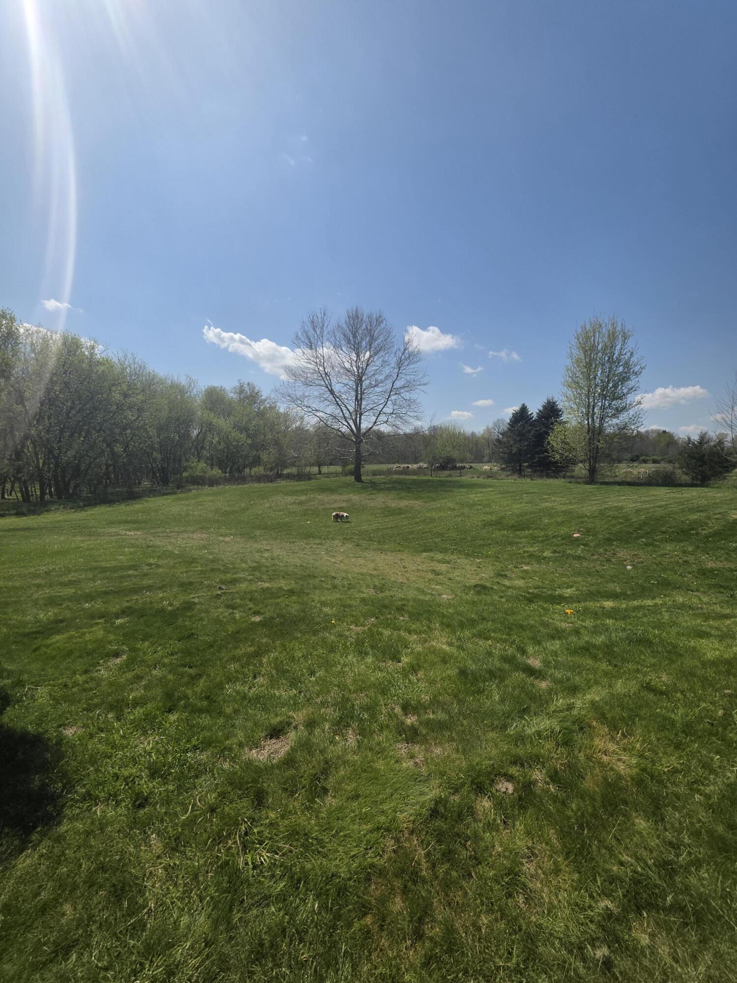 1627 West Barnes Road Leslie, MI 49251 - Photo 56 of 56 20260422_134210