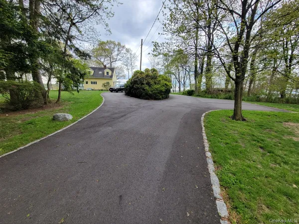 a view of a park with large trees