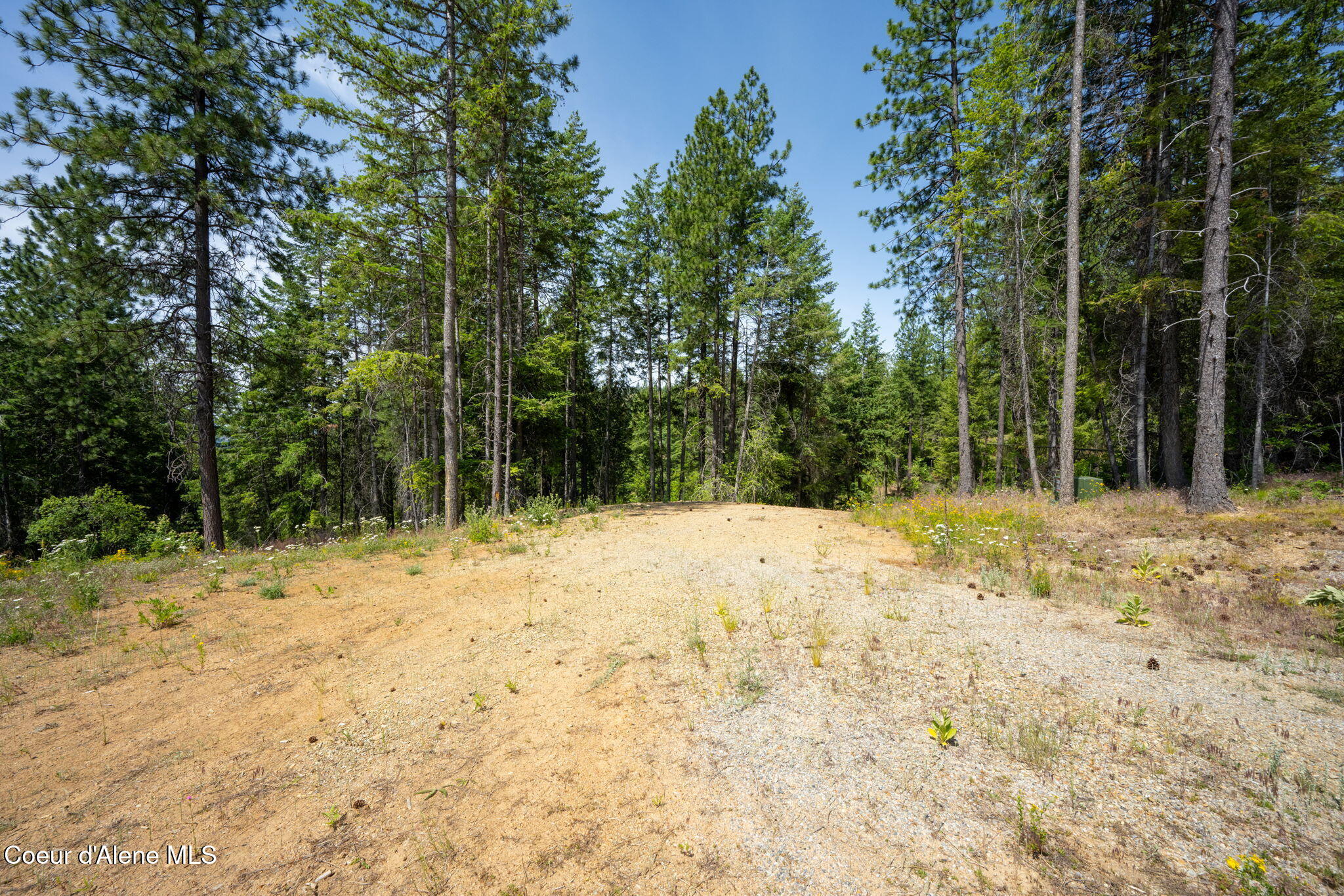 2089 Tower Mountain Road Blanchard, ID 83804 - Photo 15 of 35 21-web-or-mls-DSC_5595