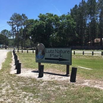 521 West Lutz Lake Fern Road Lutz, FL 33548 - Photo 40 of 40