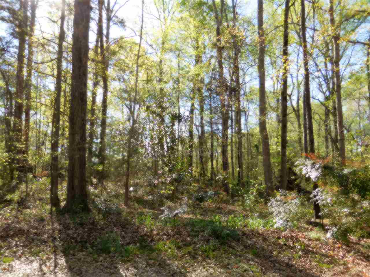 818 Abercrombie Road Gray Court, SC 29645 - Photo 16 of 16 Gallery Image 16