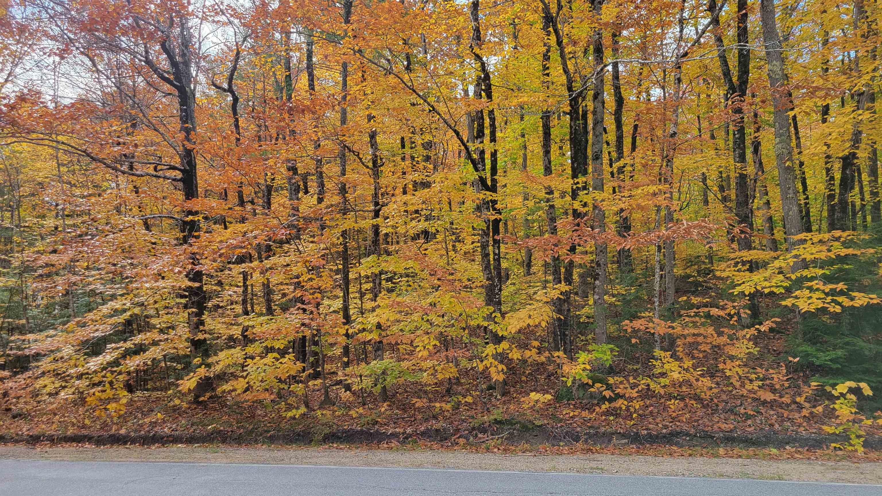 75 Ossipee Mountain Road Ossipee, NH 03814 - Photo 34 of 40