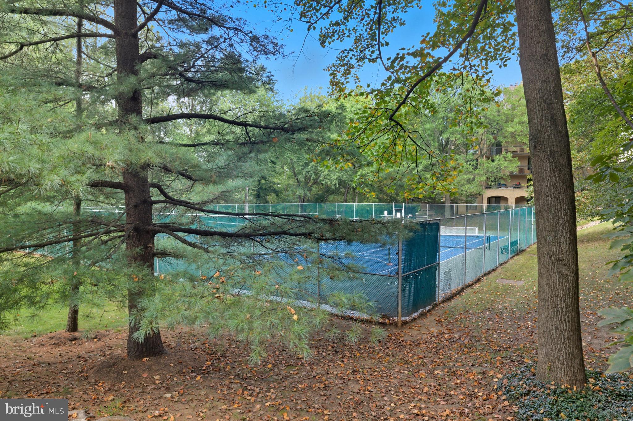 11430 Strand Drive, Unit R203 Rockville, MD 20852 - Photo 27 of 31 a view of a backyard