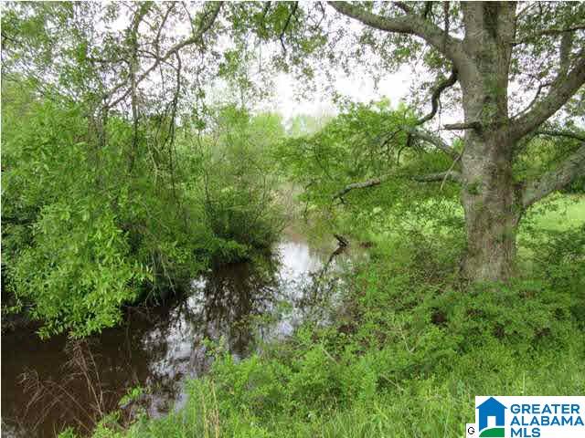 1872 County Road 53 Clanton, AL 35045 - Photo 28 of 31