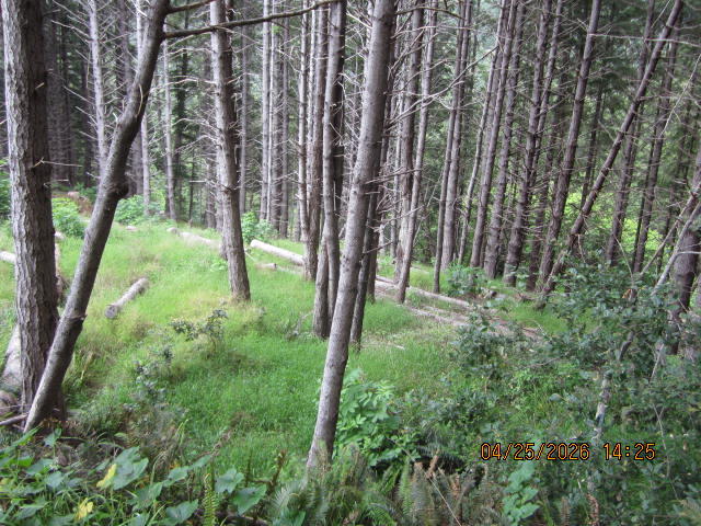 313 Ridge Road Shelter Cove, CA 95589 - Photo 19 of 20