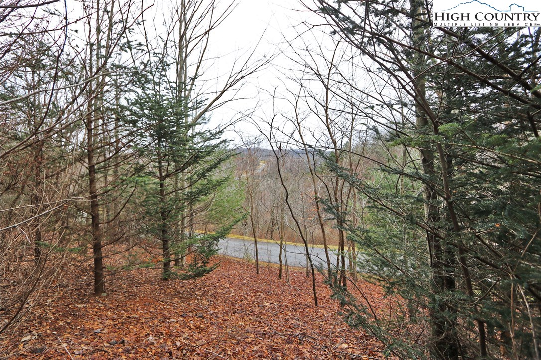 Lot 137 East Indrio Road Blowing Rock, NC 28605 - Photo 13 of 25 a view of backyard with a large tree