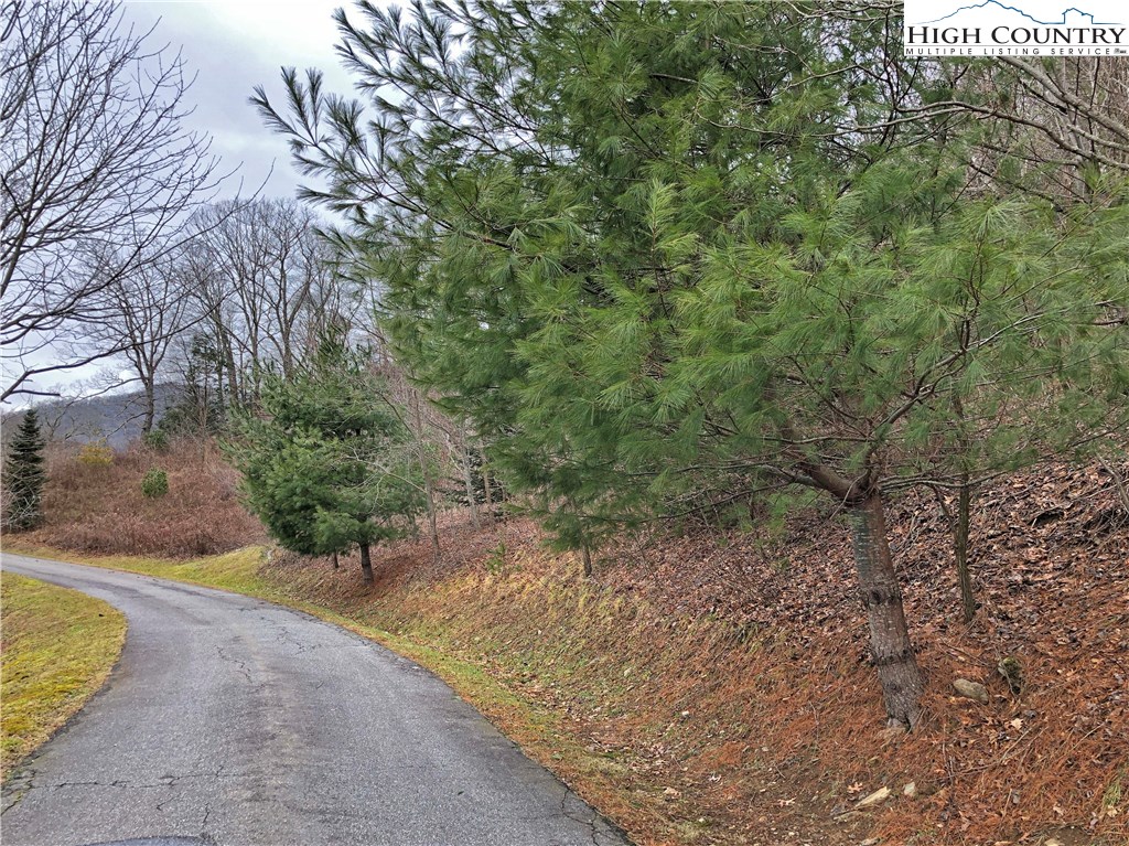 Lot 137 East Indrio Road Blowing Rock, NC 28605 - Photo 16 of 25 a view of a yard with plants and trees
