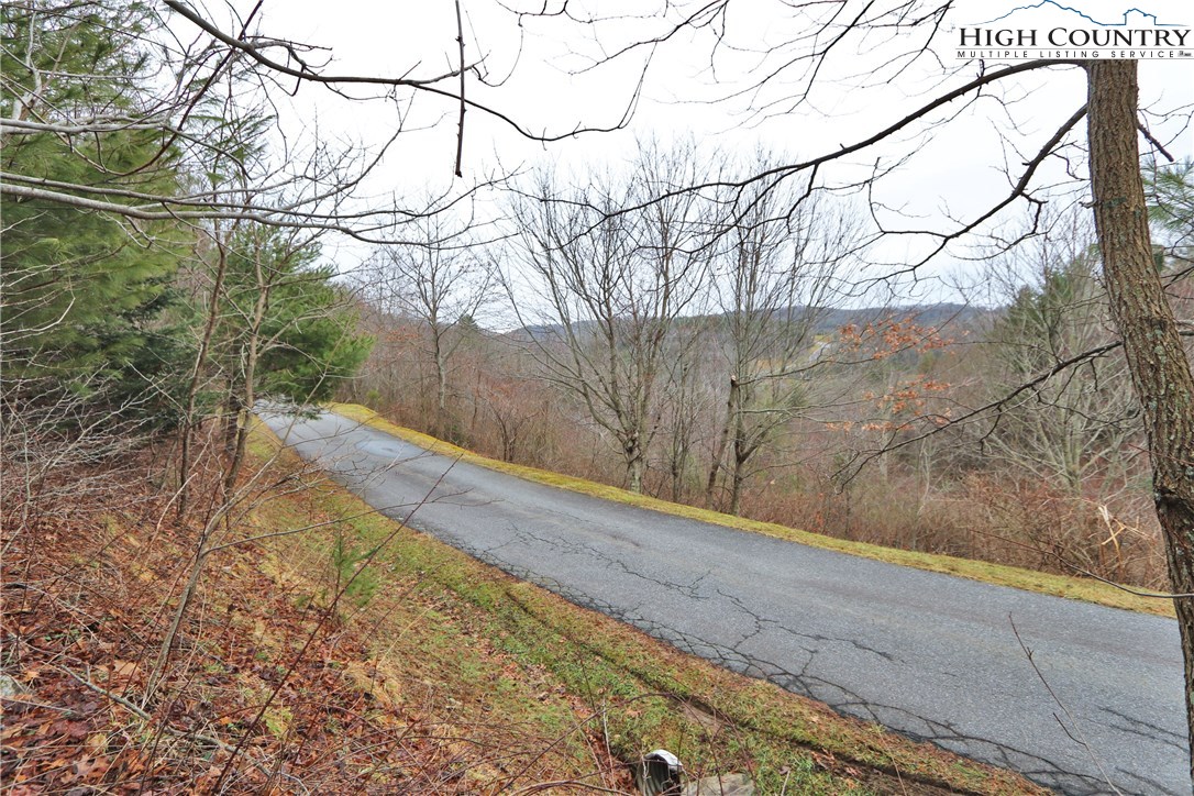 Lot 137 East Indrio Road Blowing Rock, NC 28605 - Photo 17 of 25 a view of a backyard of the house