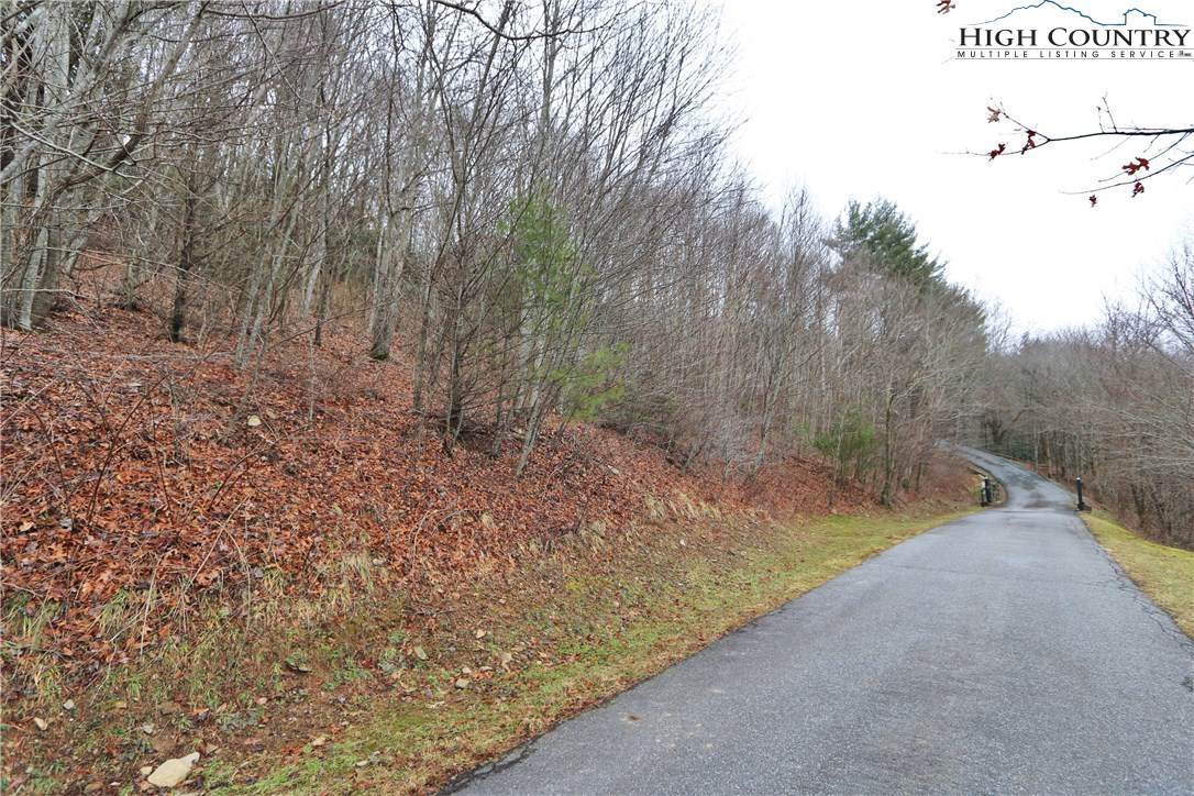 Lot 137 East Indrio Road Blowing Rock, NC 28605 - Photo 18 of 25 a view of a forest with trees in the background