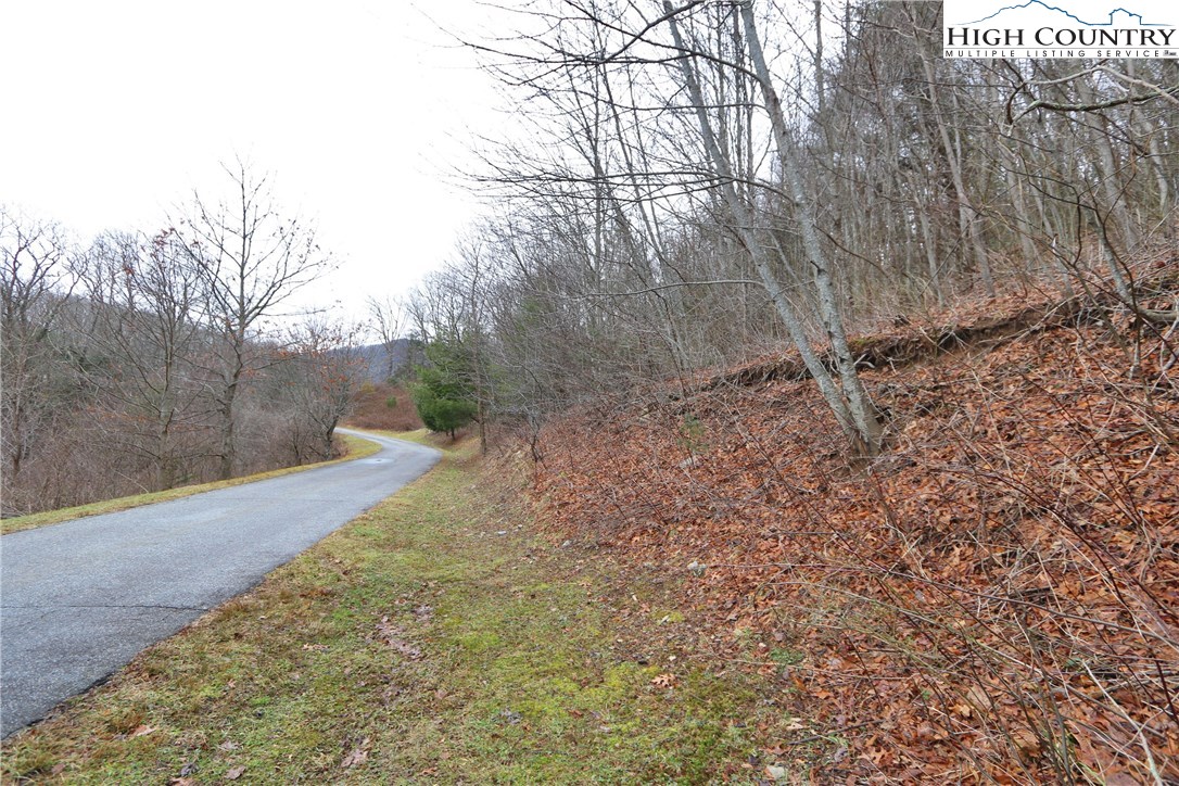 Lot 137 East Indrio Road Blowing Rock, NC 28605 - Photo 19 of 25 a view of a yard with large trees