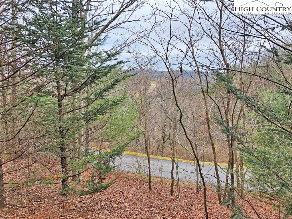 Lot 137 East Indrio Road Blowing Rock, NC 28605 - Photo 2 of 25 a backyard of a house with lots of green space
