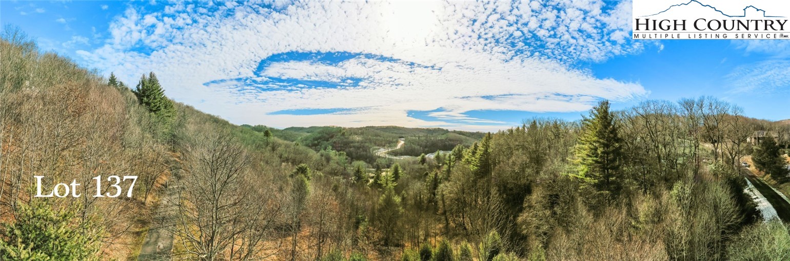 Lot 137 East Indrio Road Blowing Rock, NC 28605 - Photo 8 of 25 a vase of middle of a garden