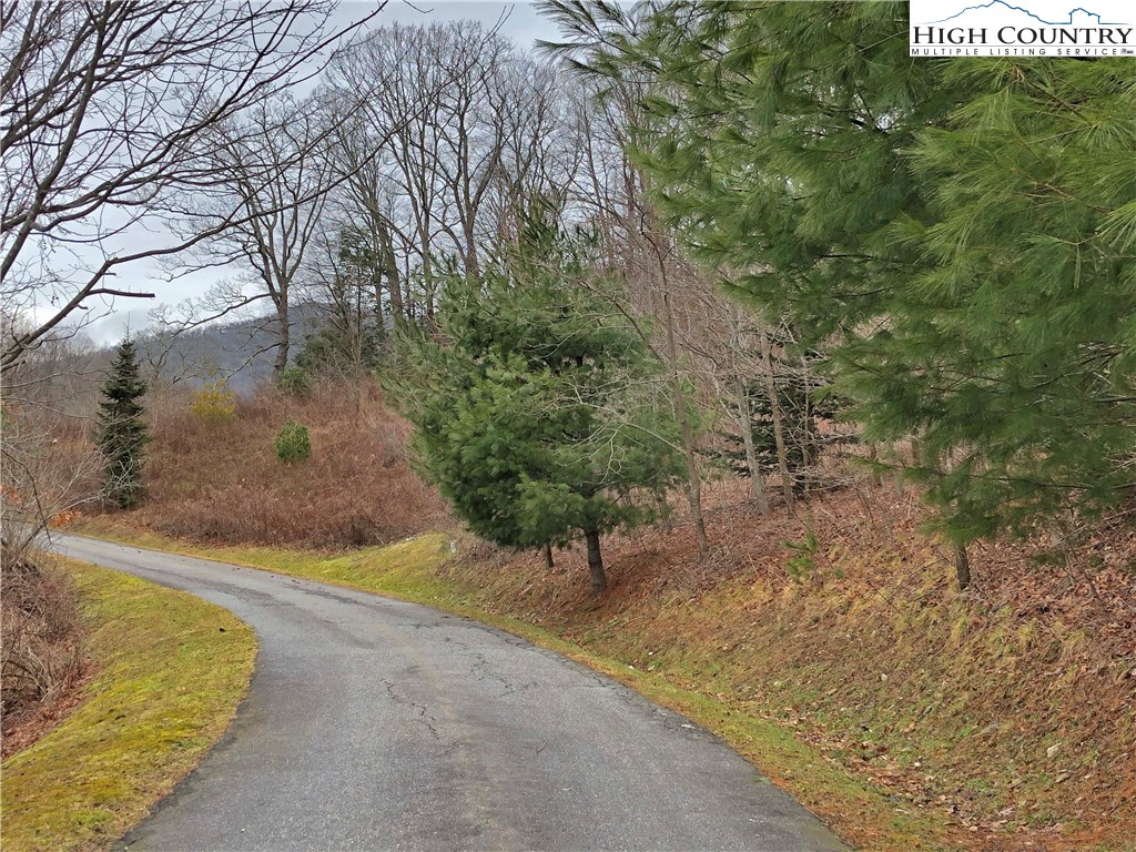 Lot 137 East Indrio Road Blowing Rock, NC 28605 - Photo 9 of 25 a view of a yard with plants and a bench