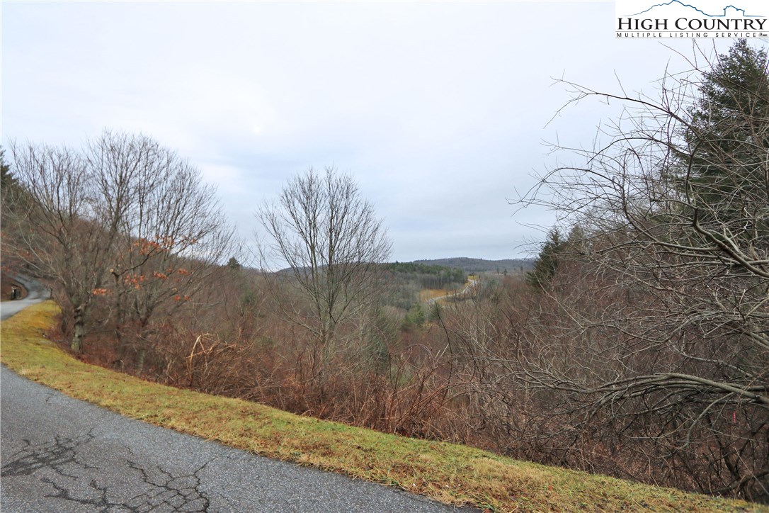 Lot 137 East Indrio Road Blowing Rock, NC 28605 - Photo 10 of 25 a view of a dry yard with green space
