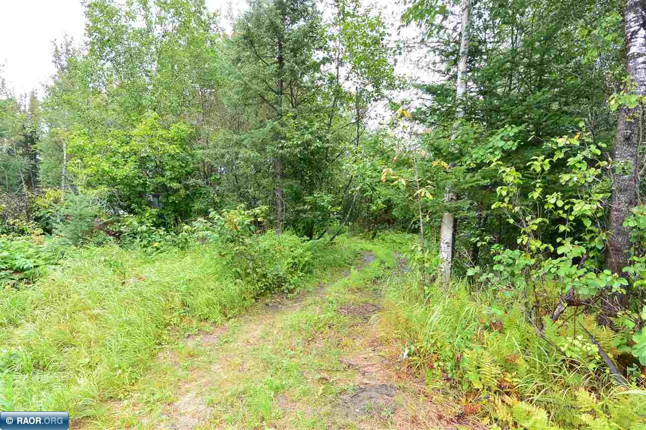 Tbd Maxwell Road Mountain Iron, MN 55768 - Photo 5 of 11