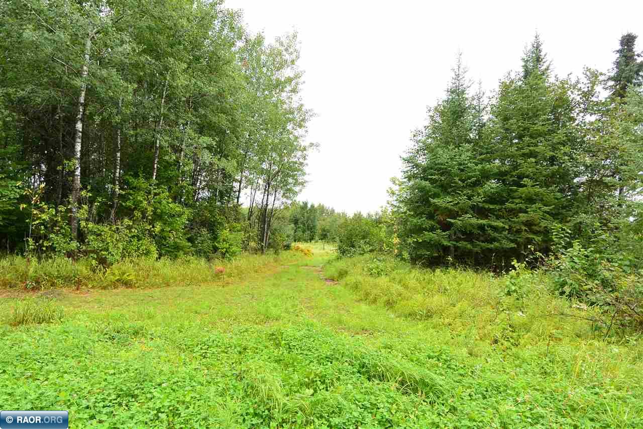 Tbd Maxwell Road Mountain Iron, MN 55768 - Photo 10 of 11