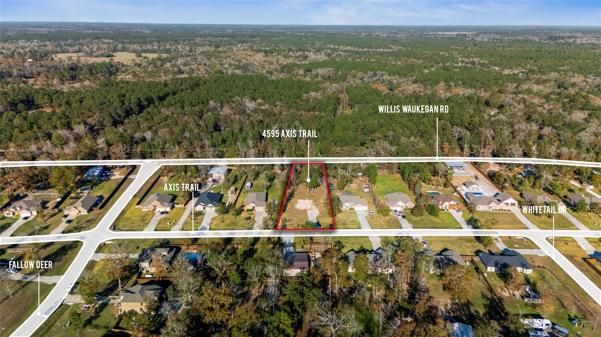 4595 Axis Trail Conroe, TX 77303 - Photo 4 of 10